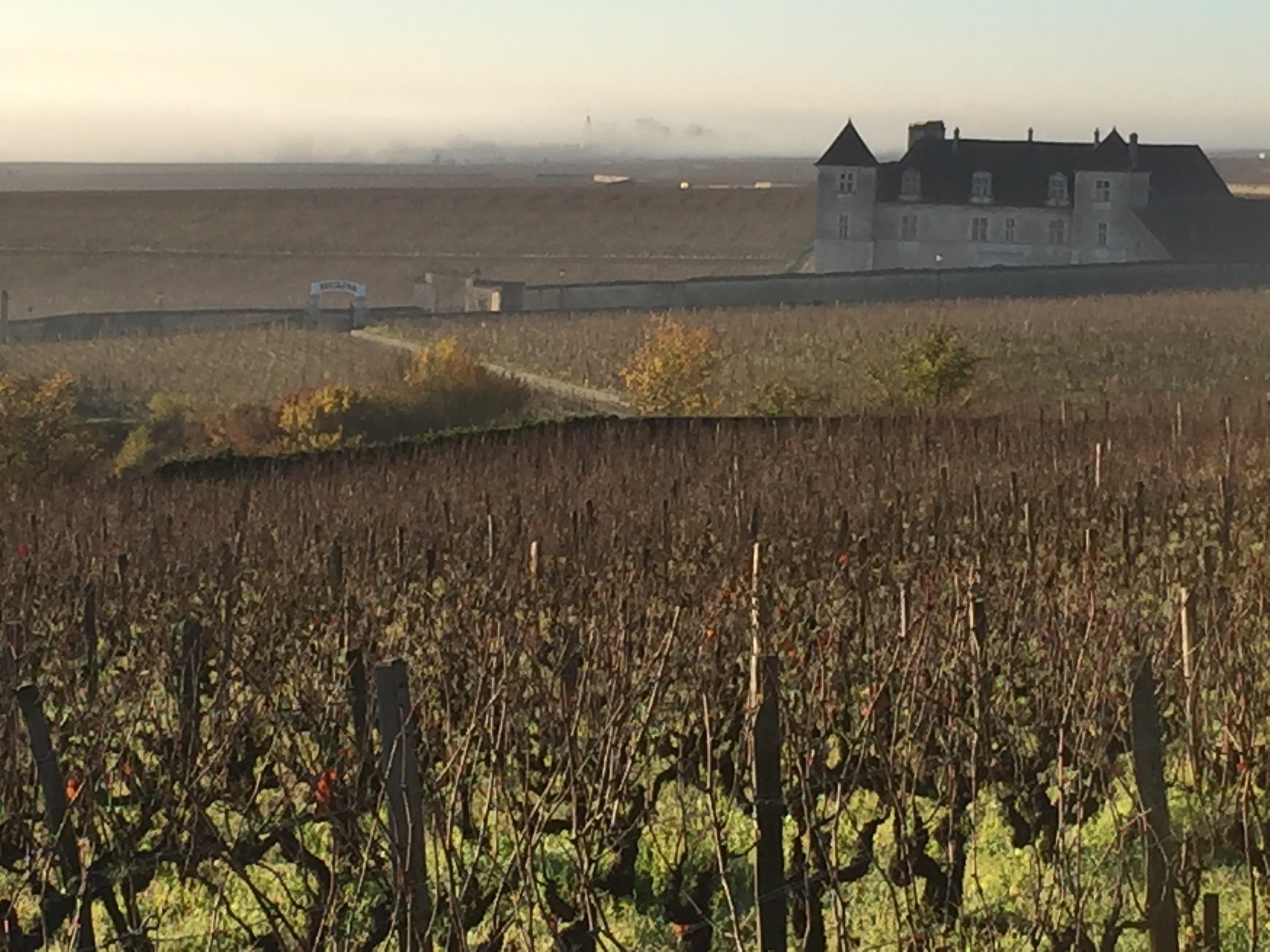 View from les Amoureuses over the Chateau de Vougeot and the early morning fog over the plain