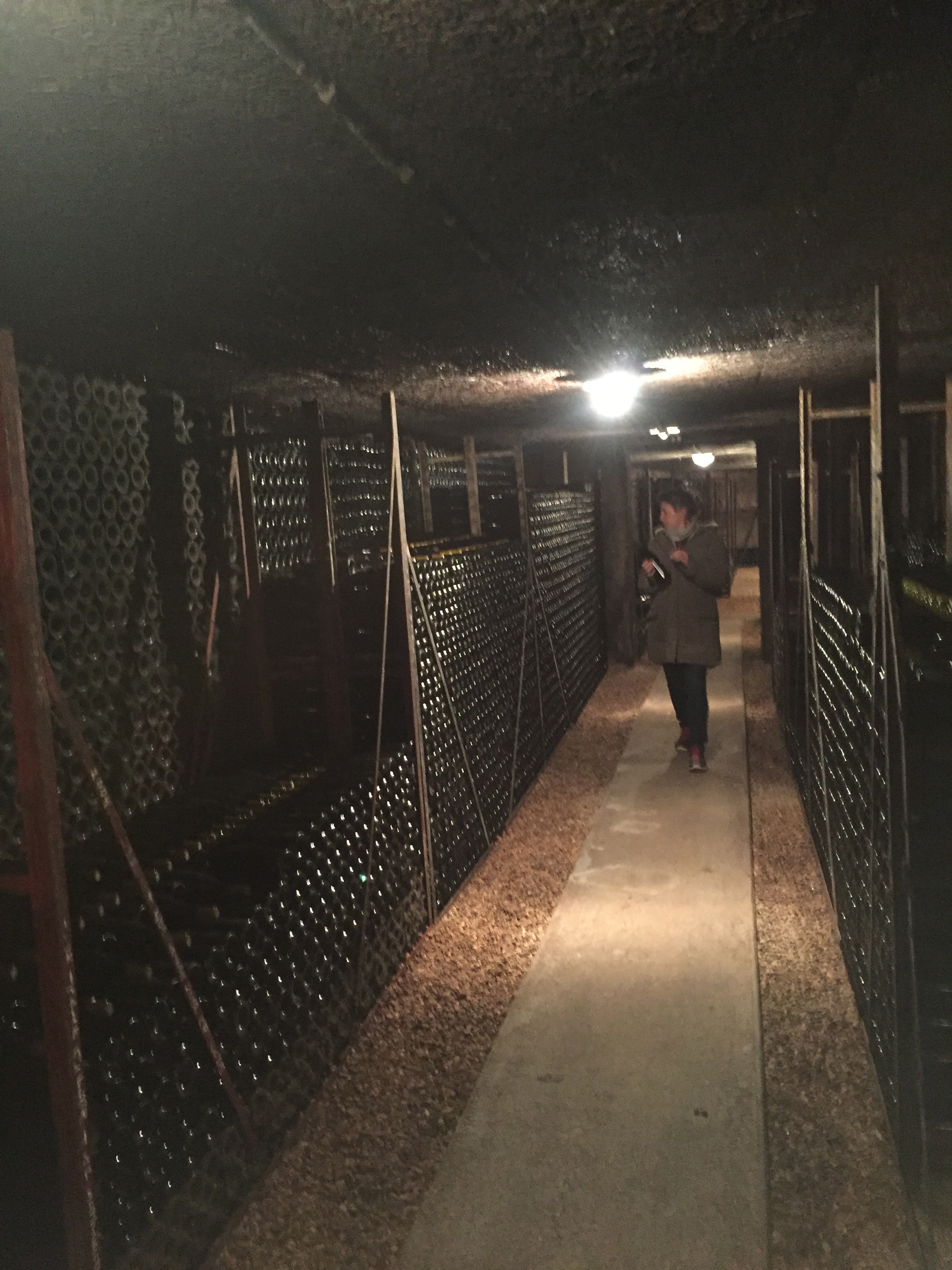 Alexandrine in her cellar (with all of YOUR 2014s lined-up and ready to rock!)