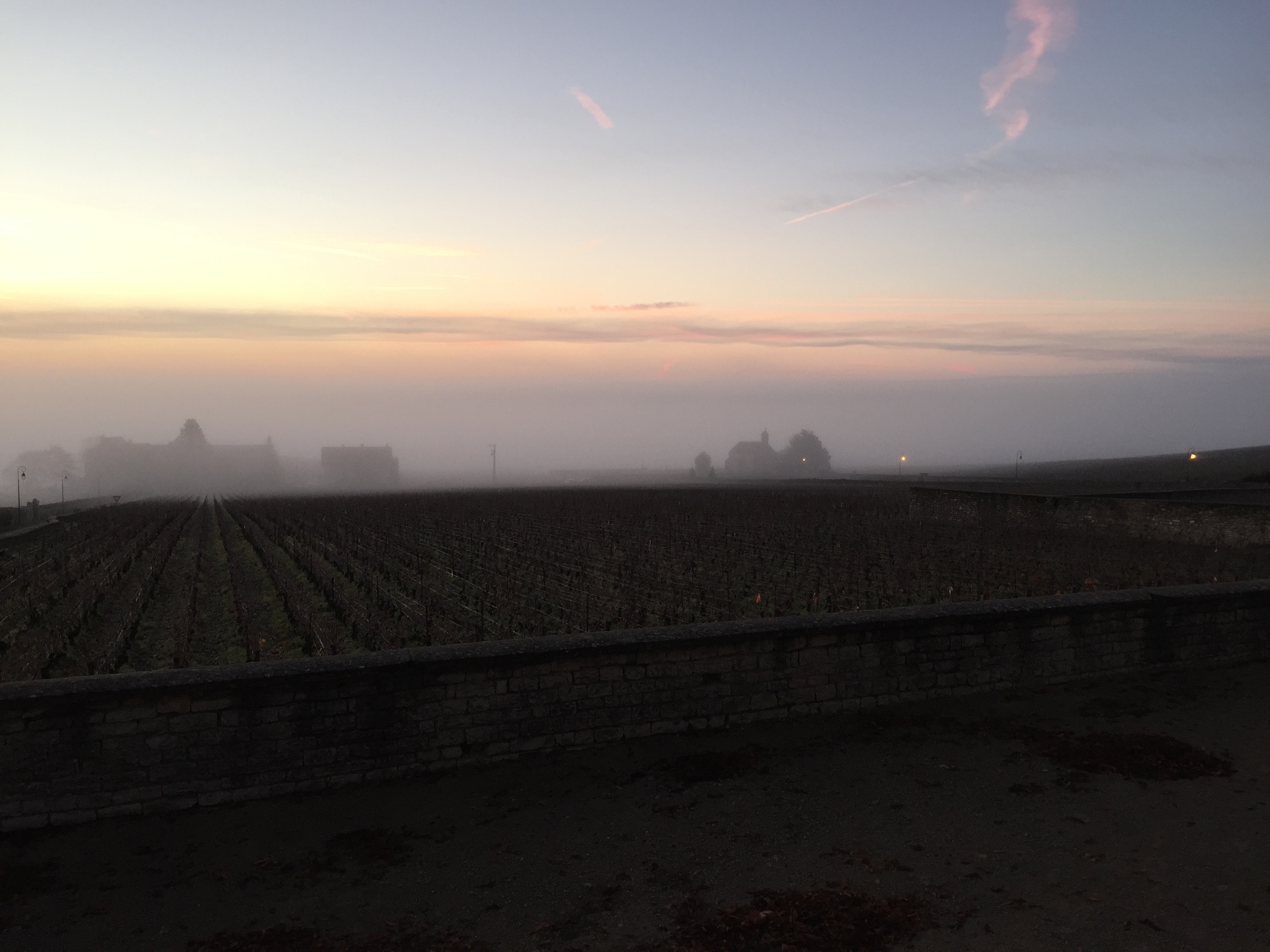 A cold fog over Volnay this morning...