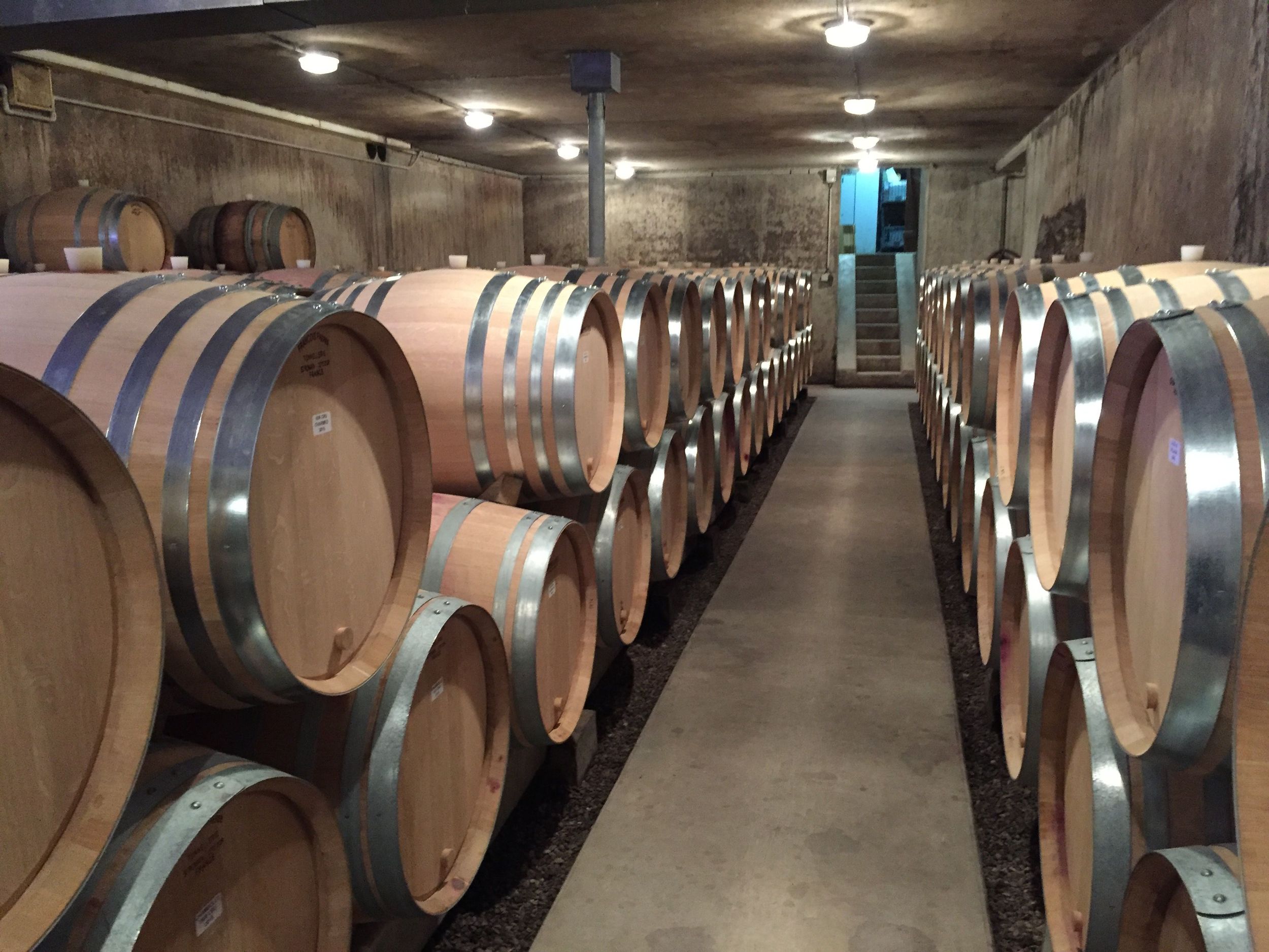 A cellar full of '14 happiness in Chambolle-Musigny