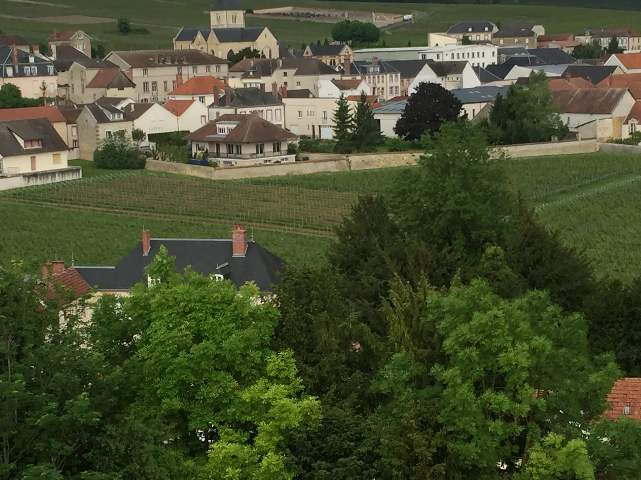 Krug's legendary Clos du Mesnil