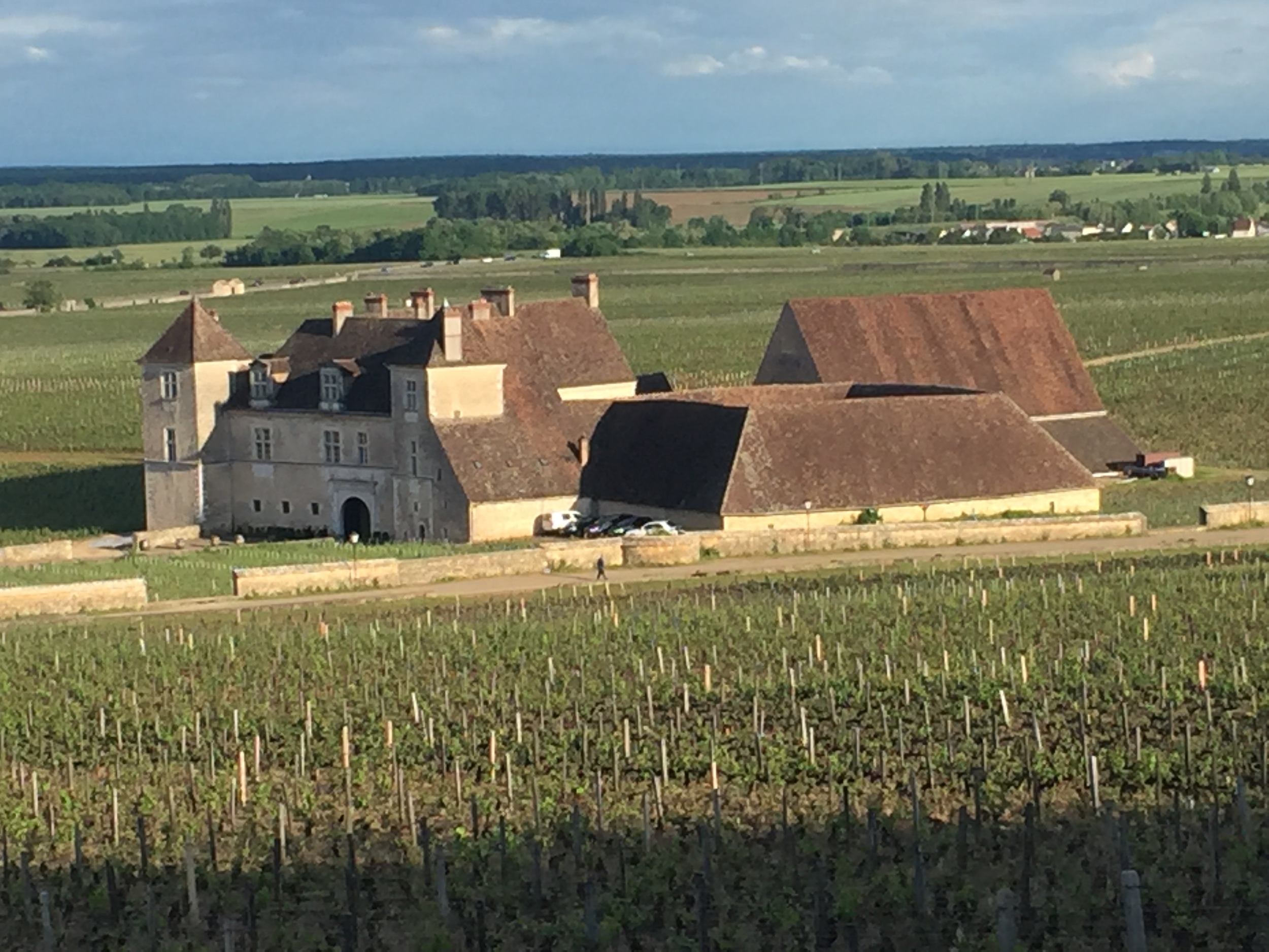 Late-afternoon sun shining a spotlight on the Chateau de Vougeot