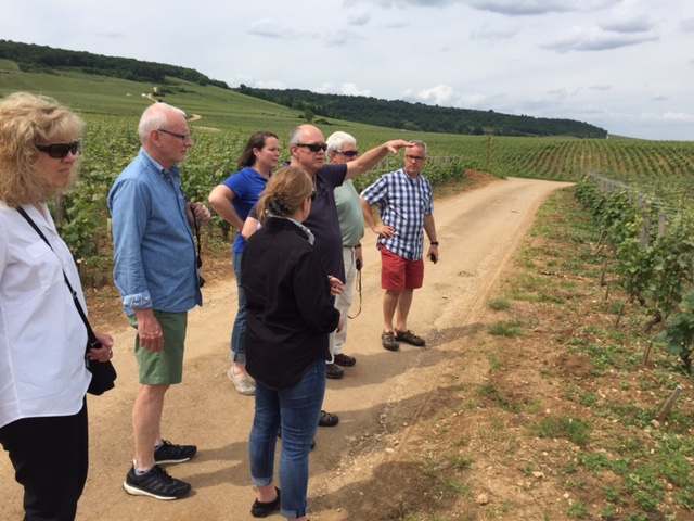 Richebourg on the left, Romanée-St Vivant on the right. Surrounded by greatness...