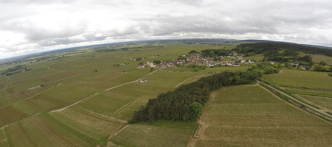 Another shot from the drone, flying over Volnay