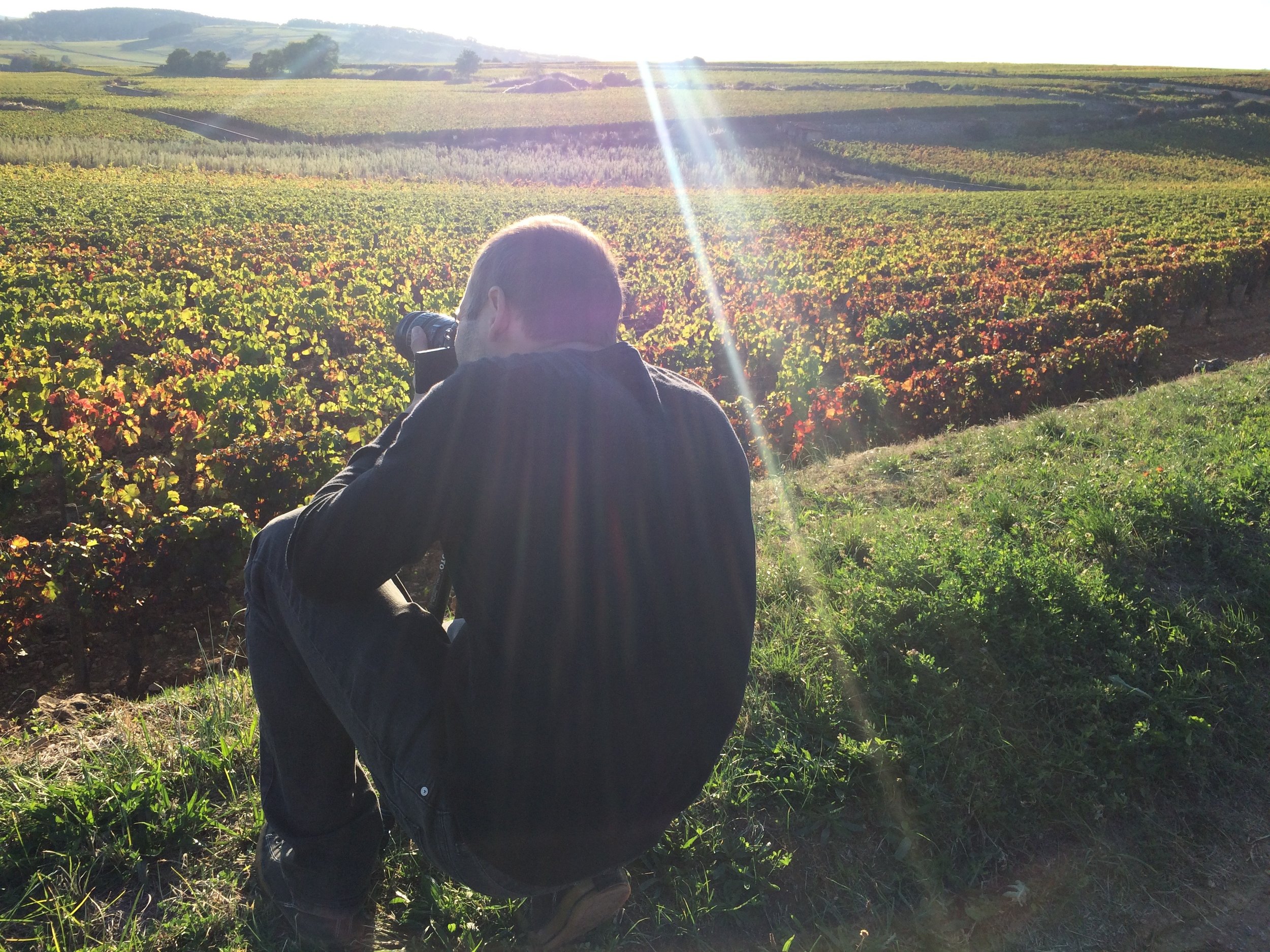 Afternoon light over Pommard...