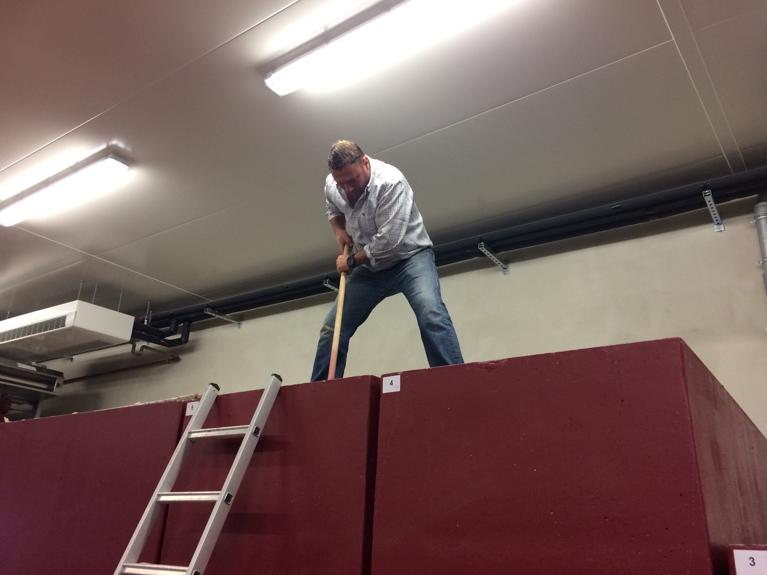 Thiébault Huber - punching down his Pommard Clos du Colombier (only 2 barrels this year, down from a normal 12. Yikes!)