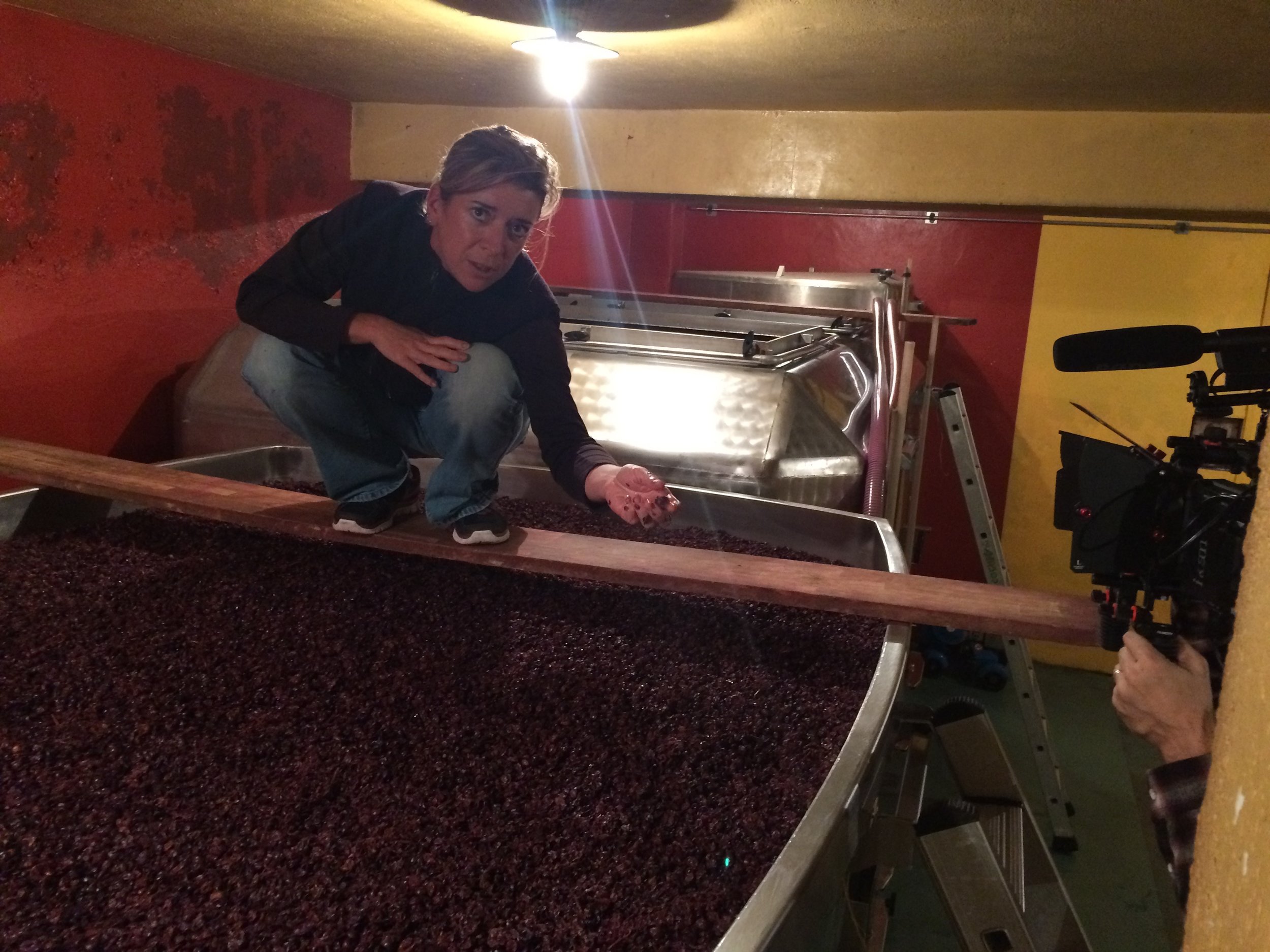 Alexandrine Roy , happy with the beautiful fruit in her tanks in Gevrey-Chambertin