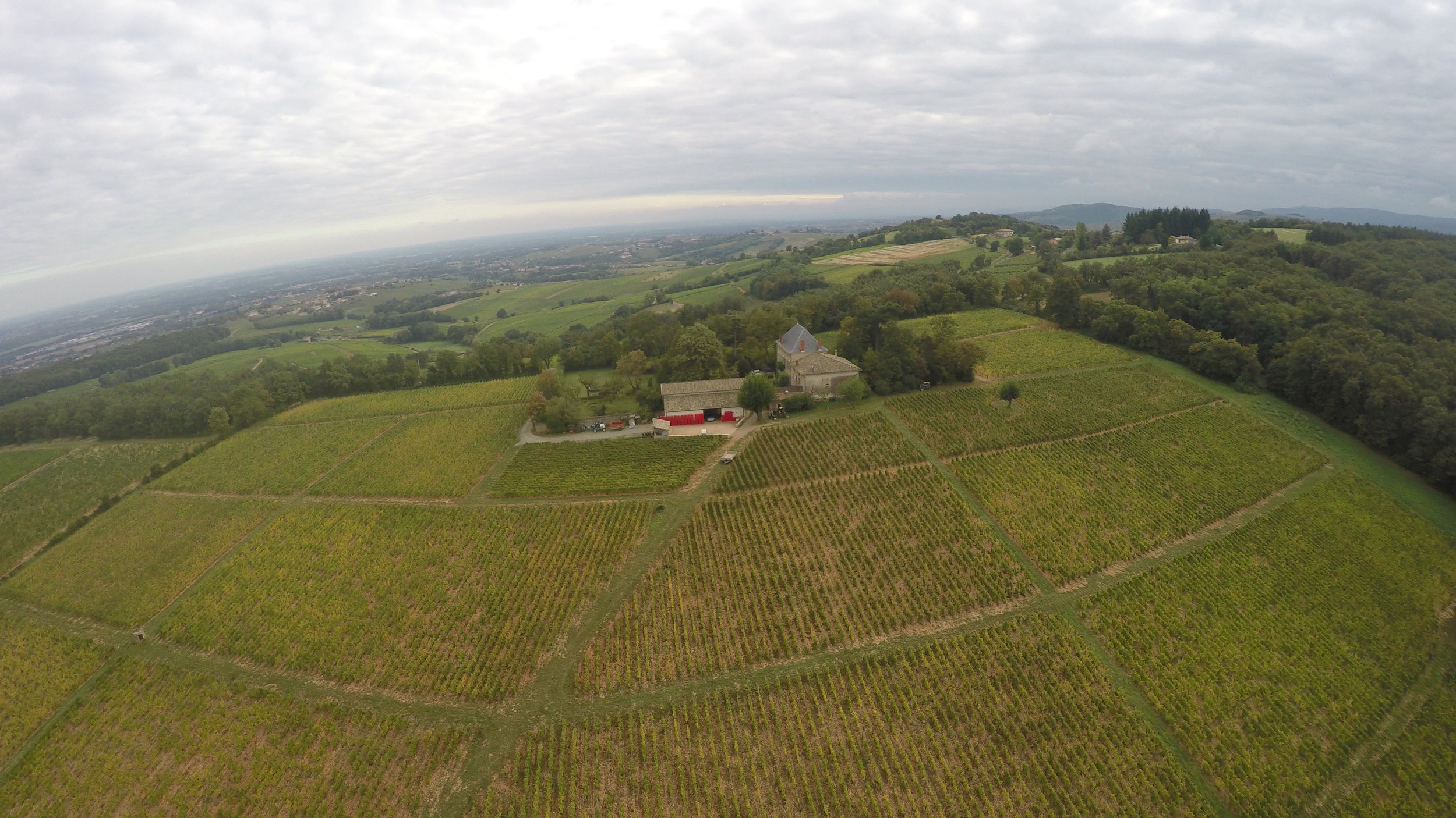 A great aerial shot of the Clos Varambon vineyard at Chateau des Rontets