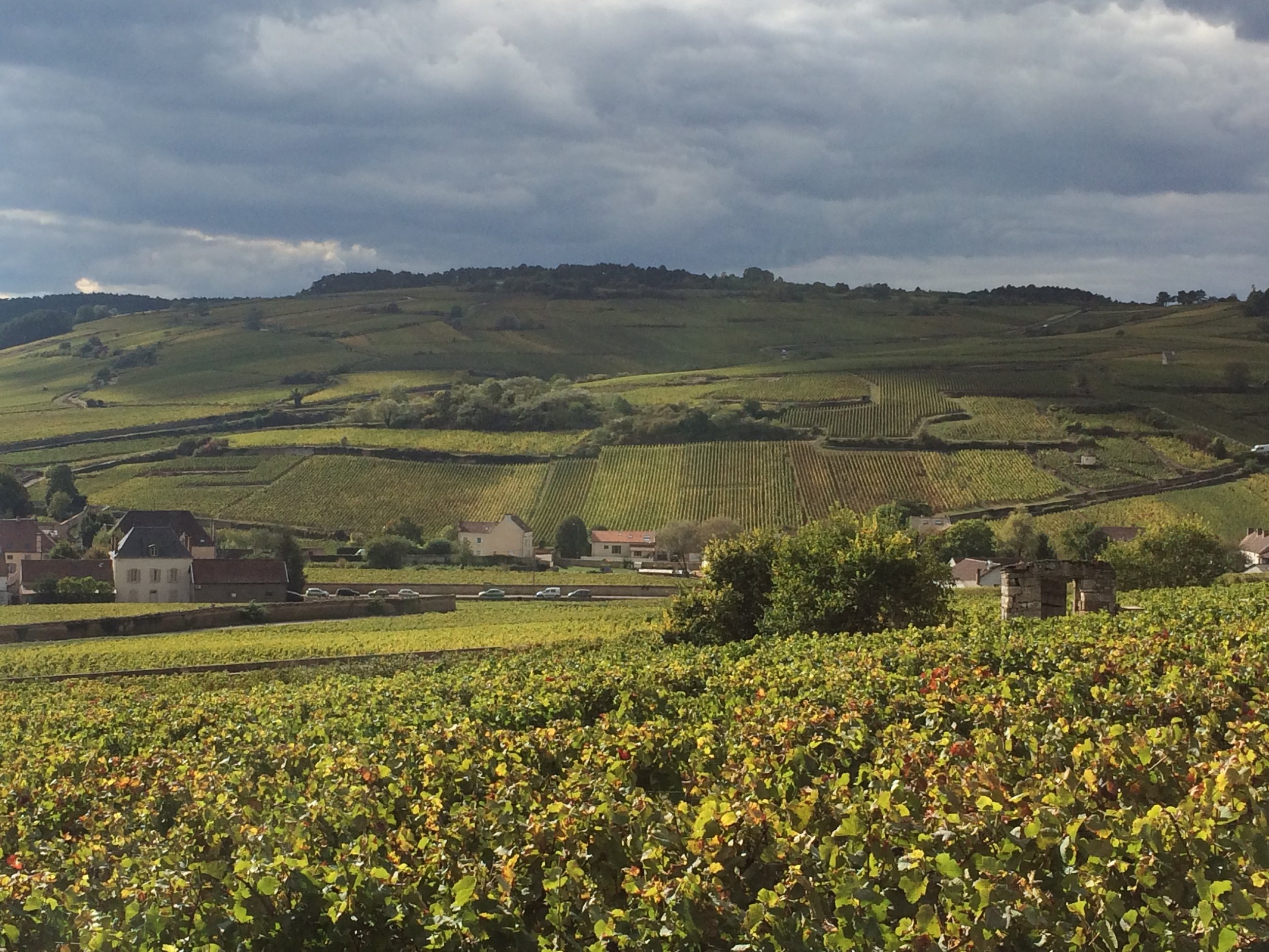 Nice view over the south slope of Pommard