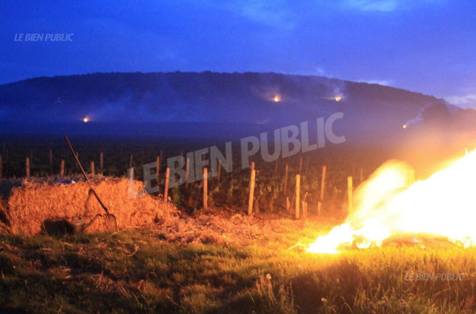 Burning straw bales in Savigny-lès-Beaune