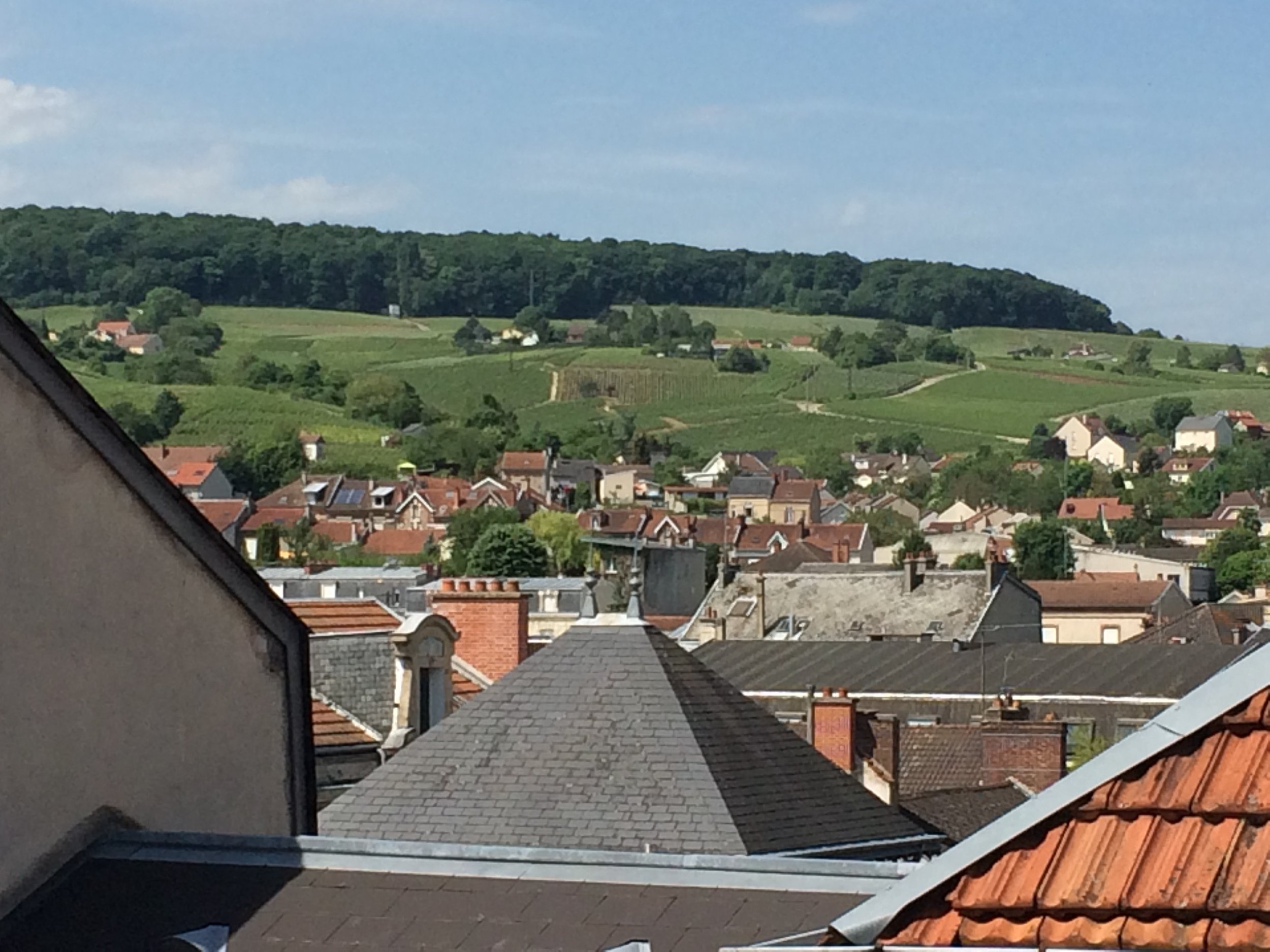 View from the roof-deck of my apartment in Épernay