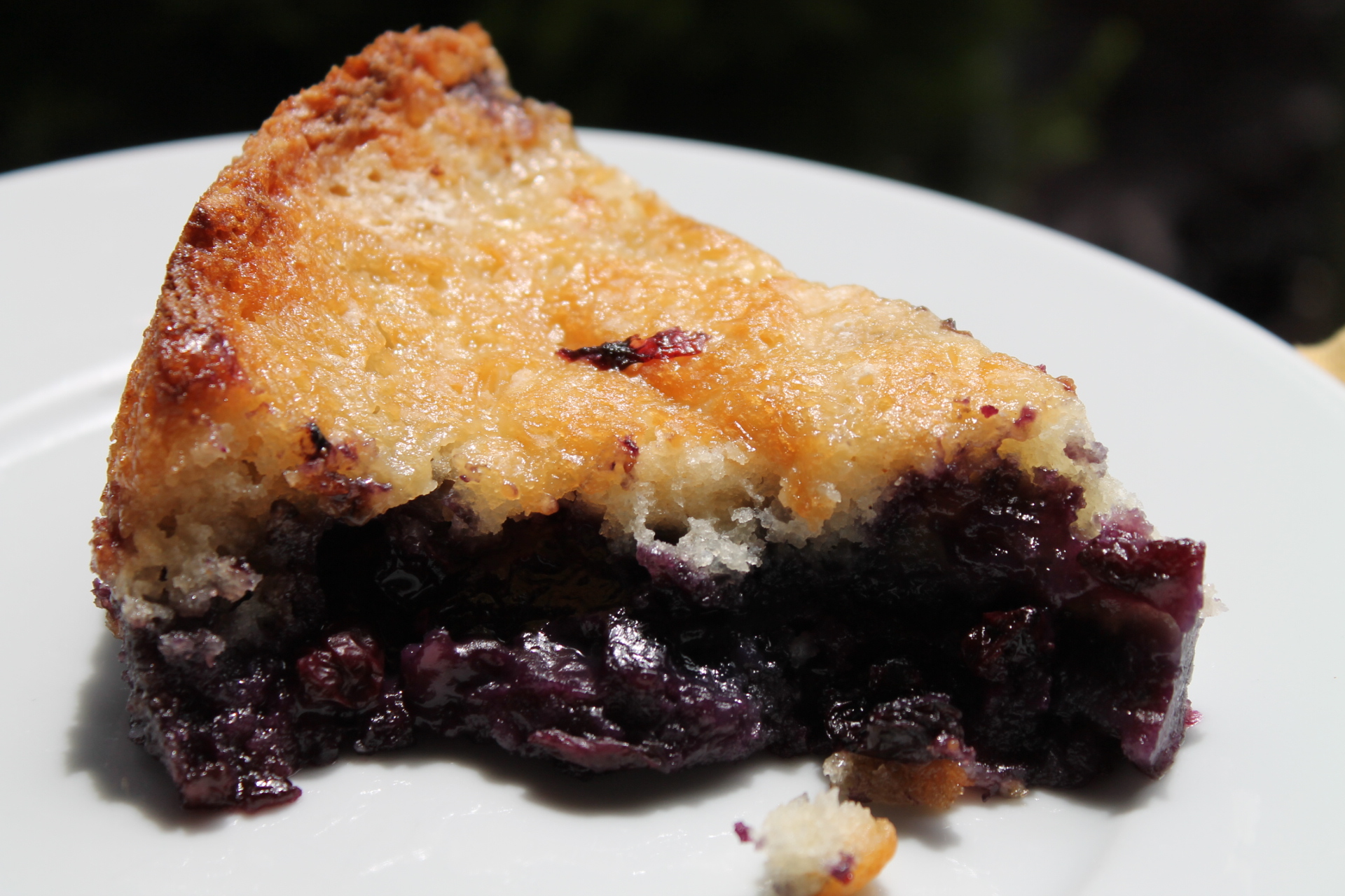 Taste of my childhood, my grandmother Martha Fort White's (Grammy's) cobbler. She lived in a white clapboard house, next to the railroad tracks, in Garyville LA, a former lumber mill town. We loved picking pecans in her yard and outfitting the shed into a playhouse.