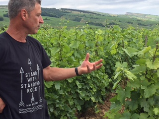In the vineyards with Fabio at Chateau des Rontets