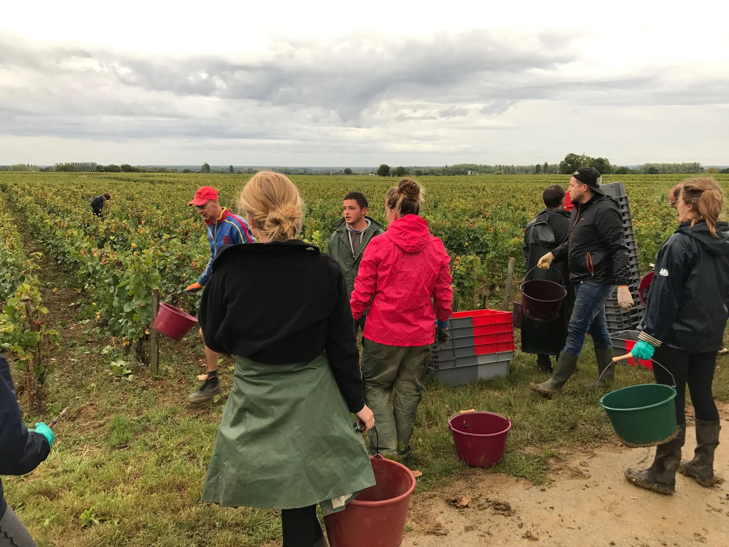 Pirrie and the Huber-Verdereau crew in Volnay this morning