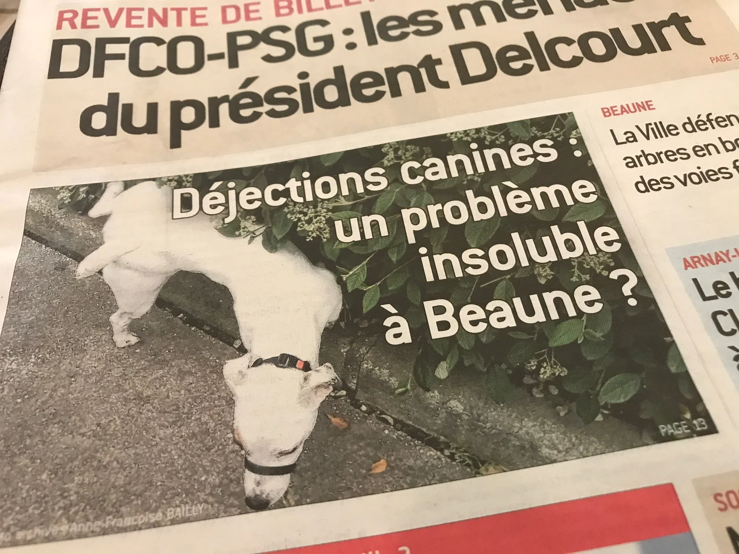 Dog-poop - is it out of control in Beaune? (Not that I've seen - this is really clean city...)