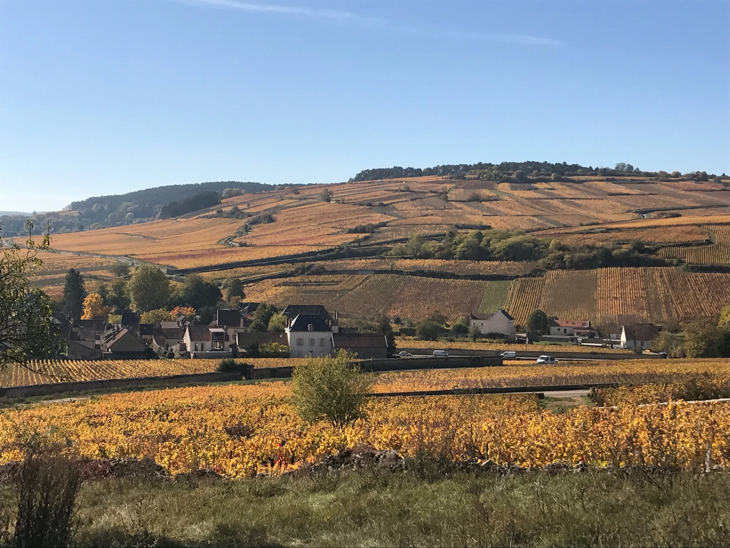 The slope of Pommard. Whoa.
