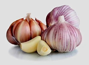 Garlic_bulb.jpg