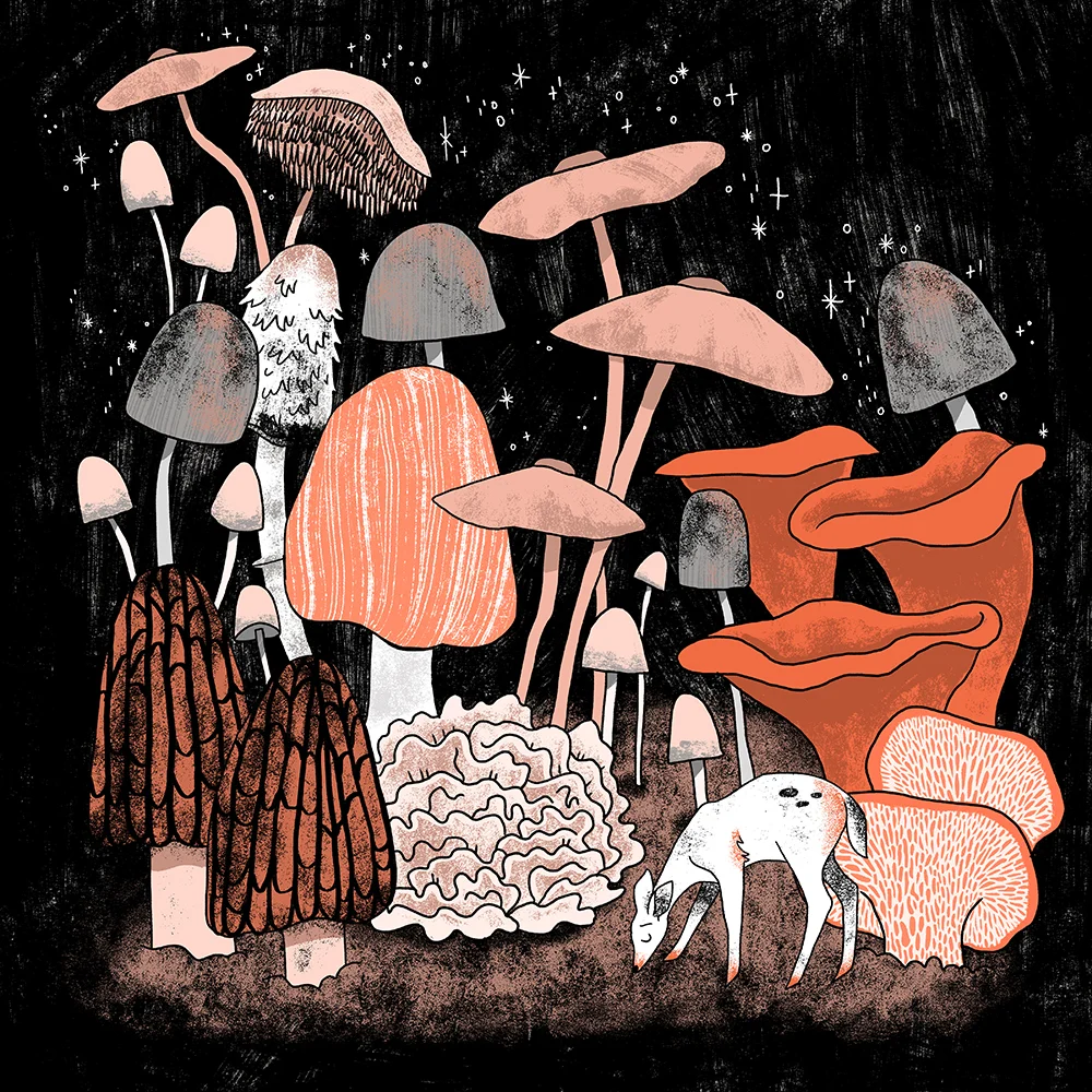 Idaho Fungi