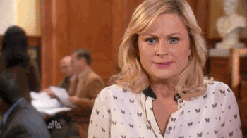 Leslie Knope Is Bummed Too But Has a Great Idea For Other East End Stuff To Look At.gif