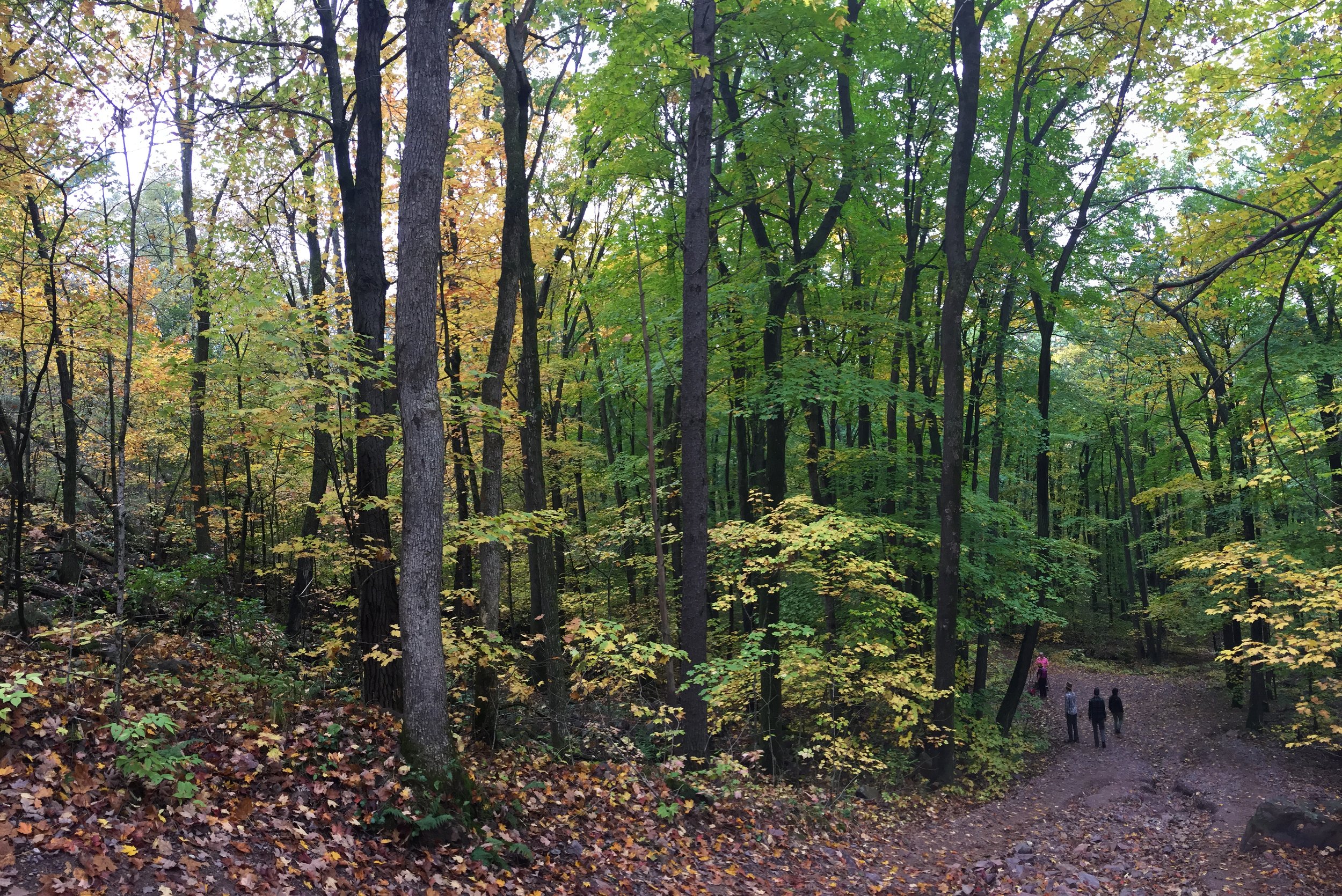 Fall Equinox Image.jpeg