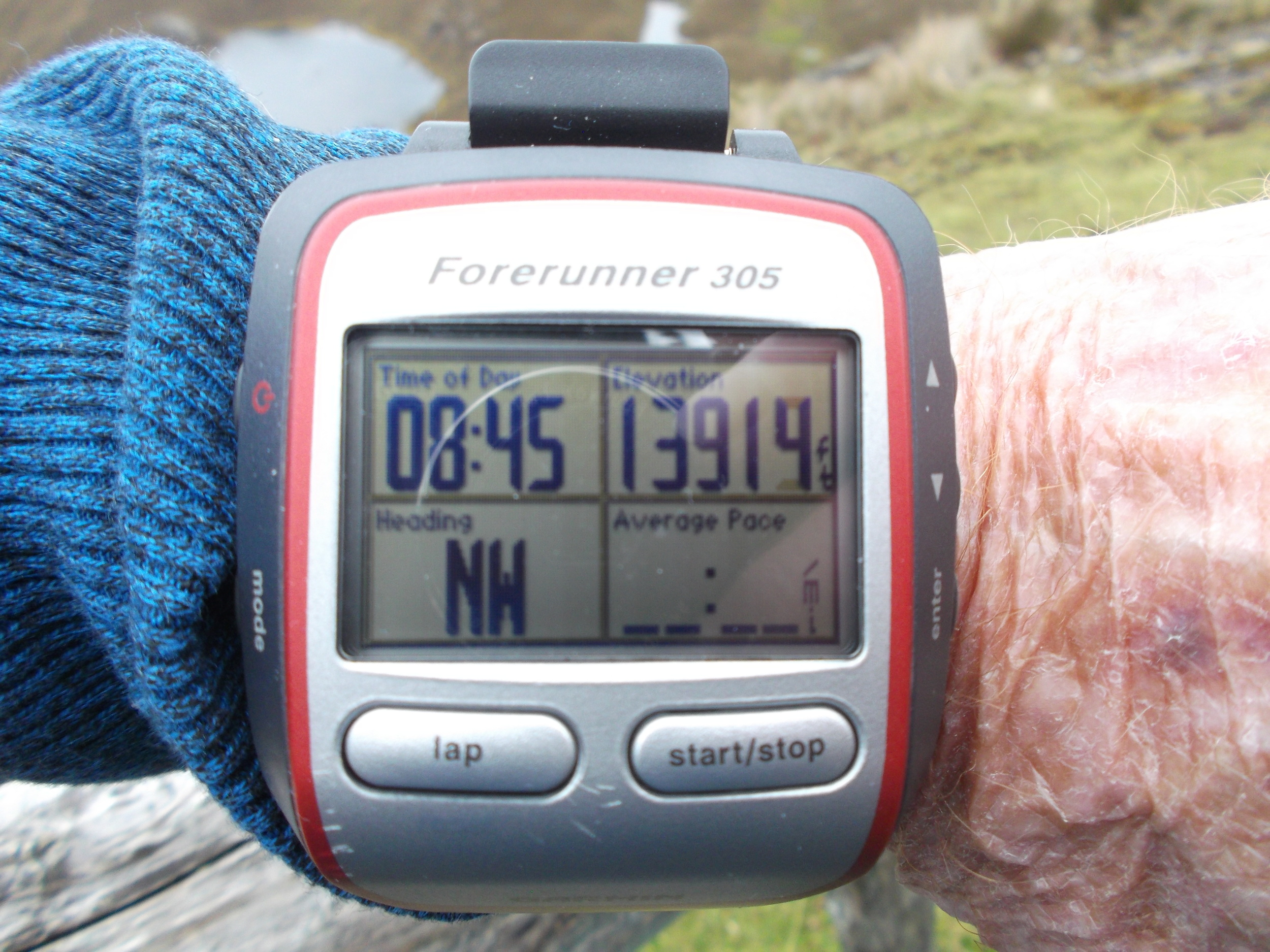 Bogue in the Andes 2/20/2015