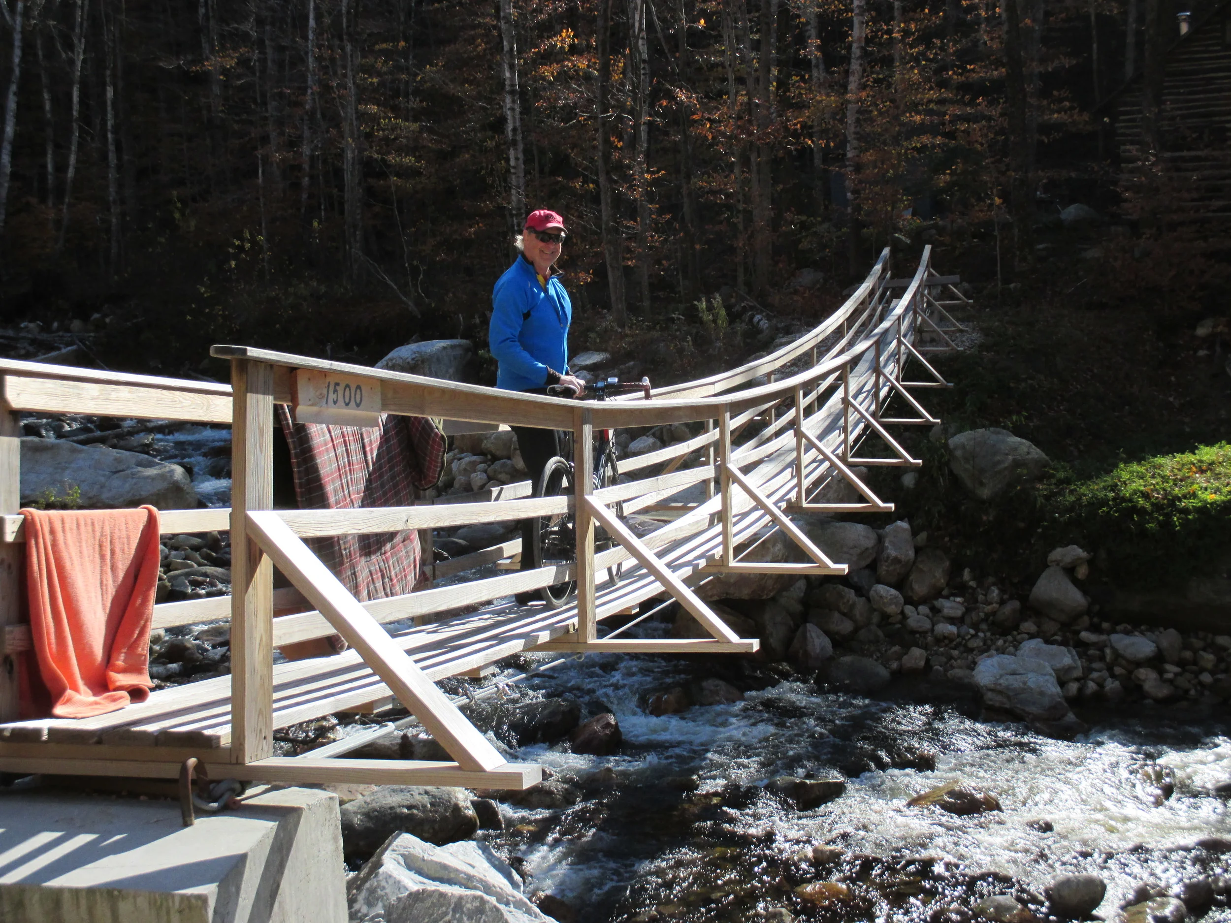 Sandy crossing suspension bridge on Kelly Stand