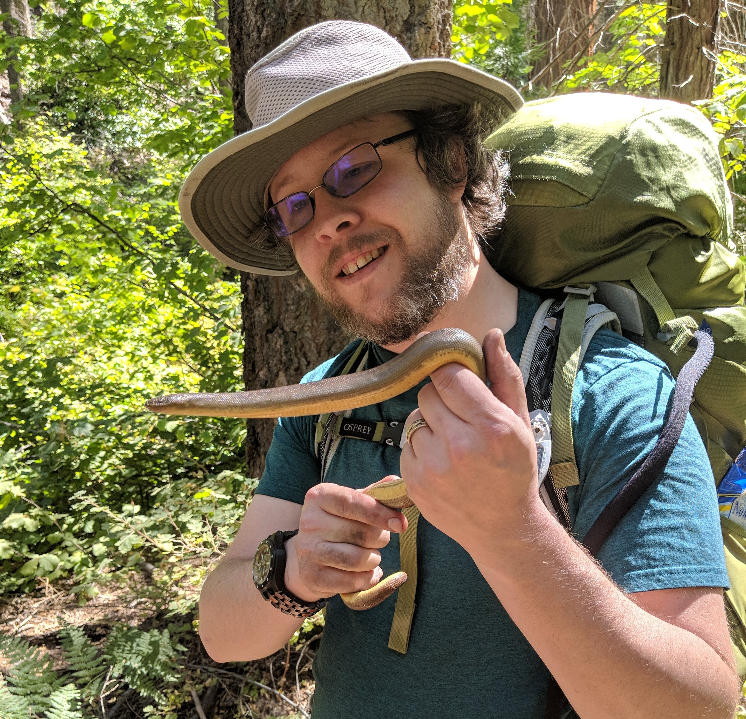 Rory with an adult rubber boa (Charina bottae)!