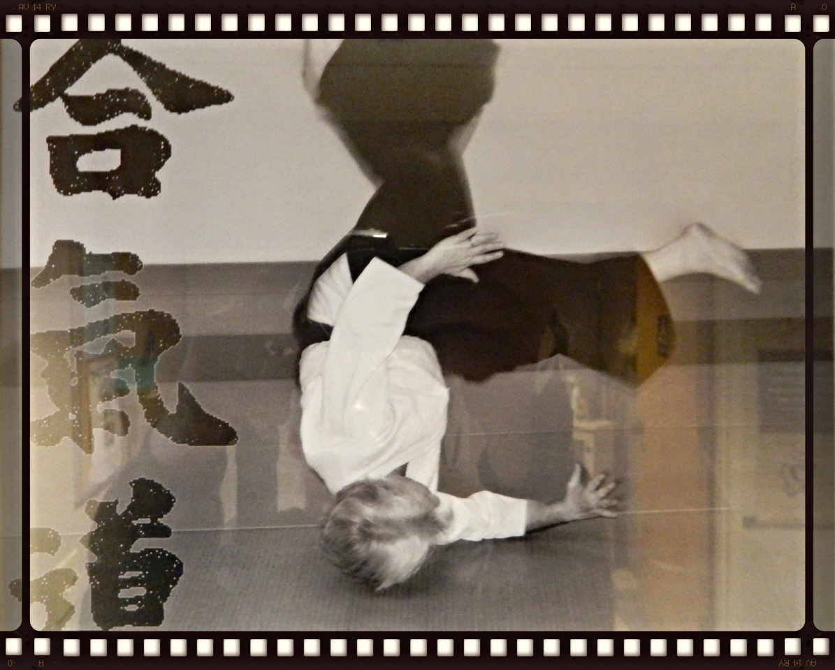 Sensei in mid roll