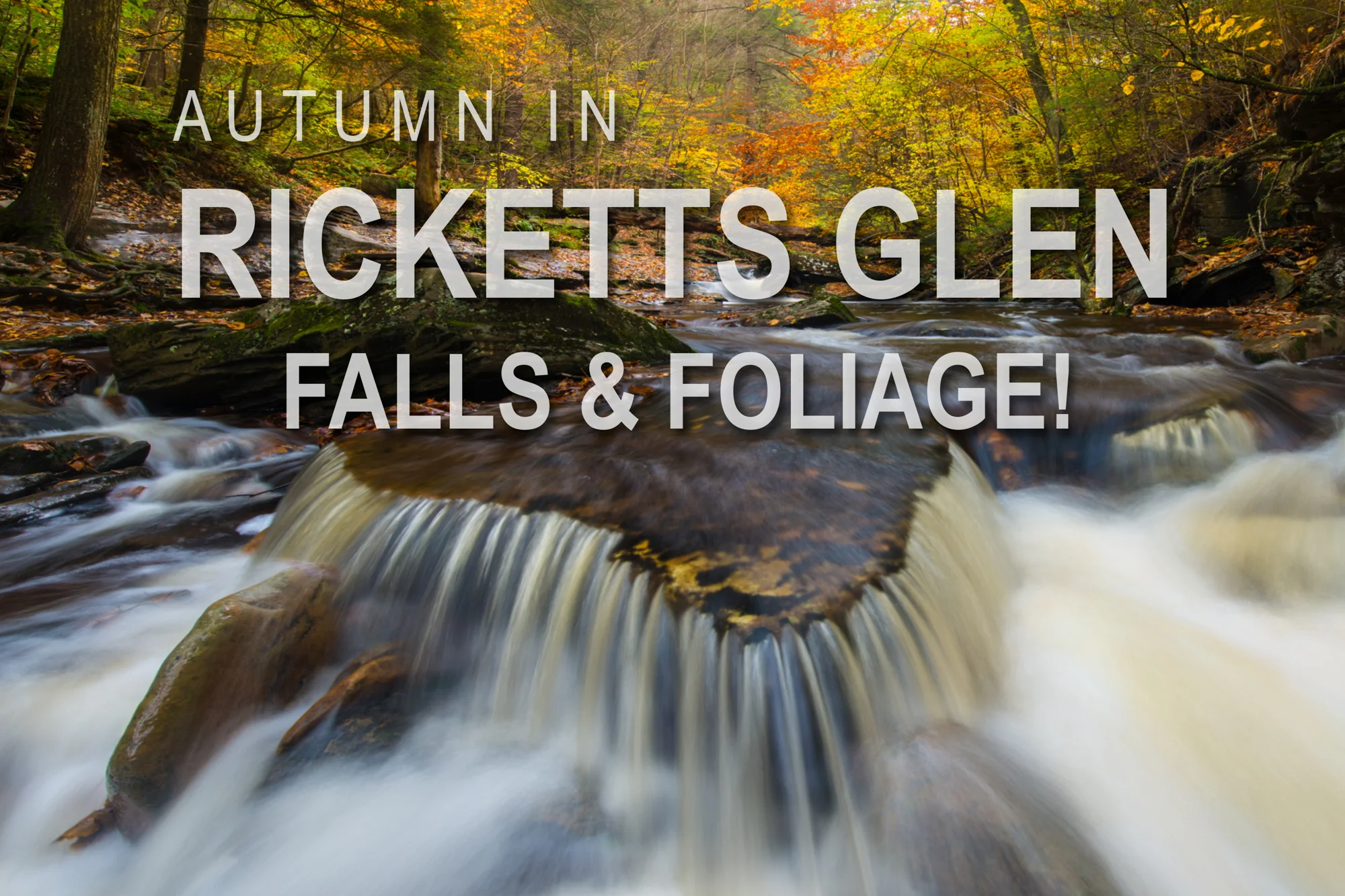 Ricketts Cover-1.jpg