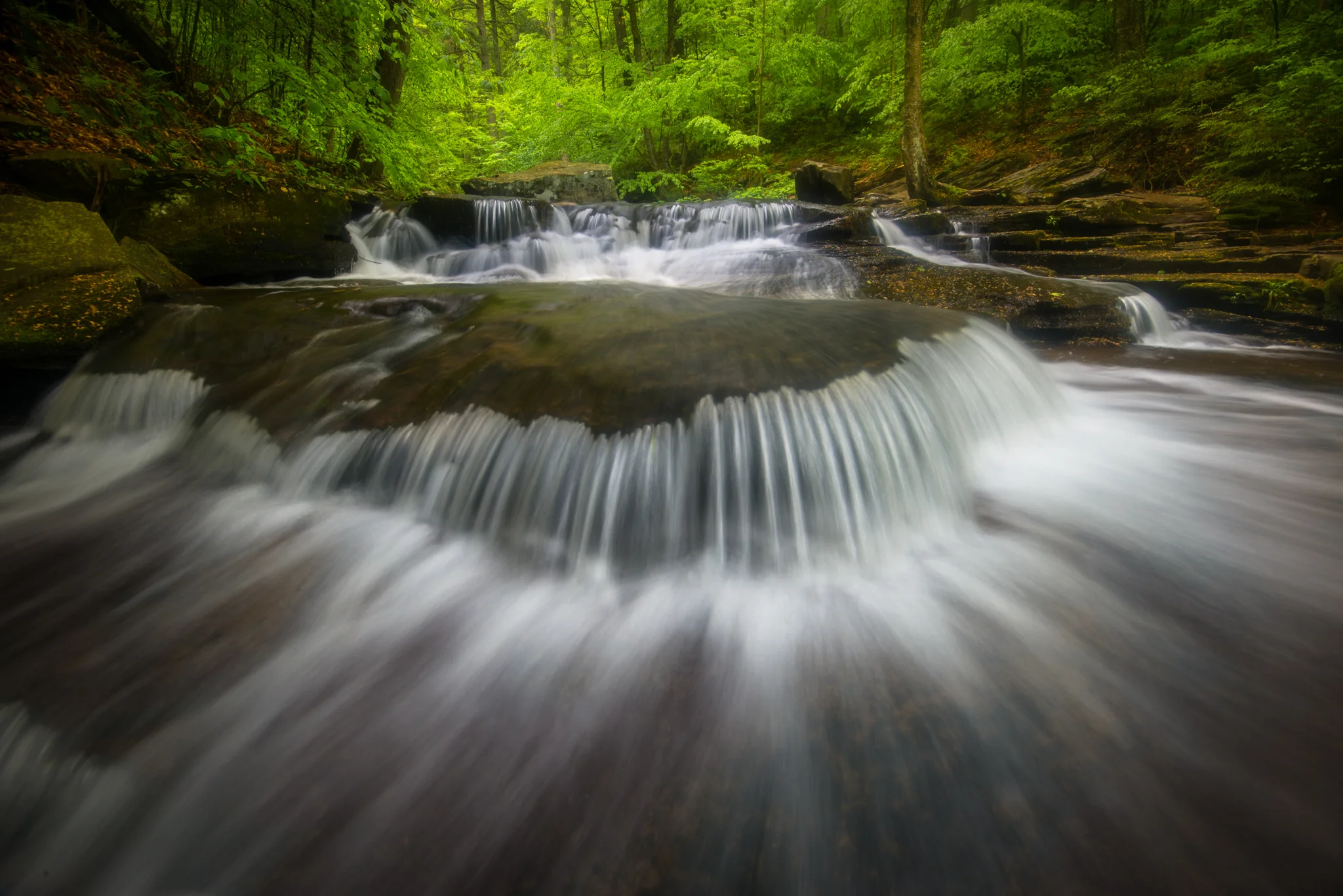 RickettsGlen_052017._CVB0539.jpg