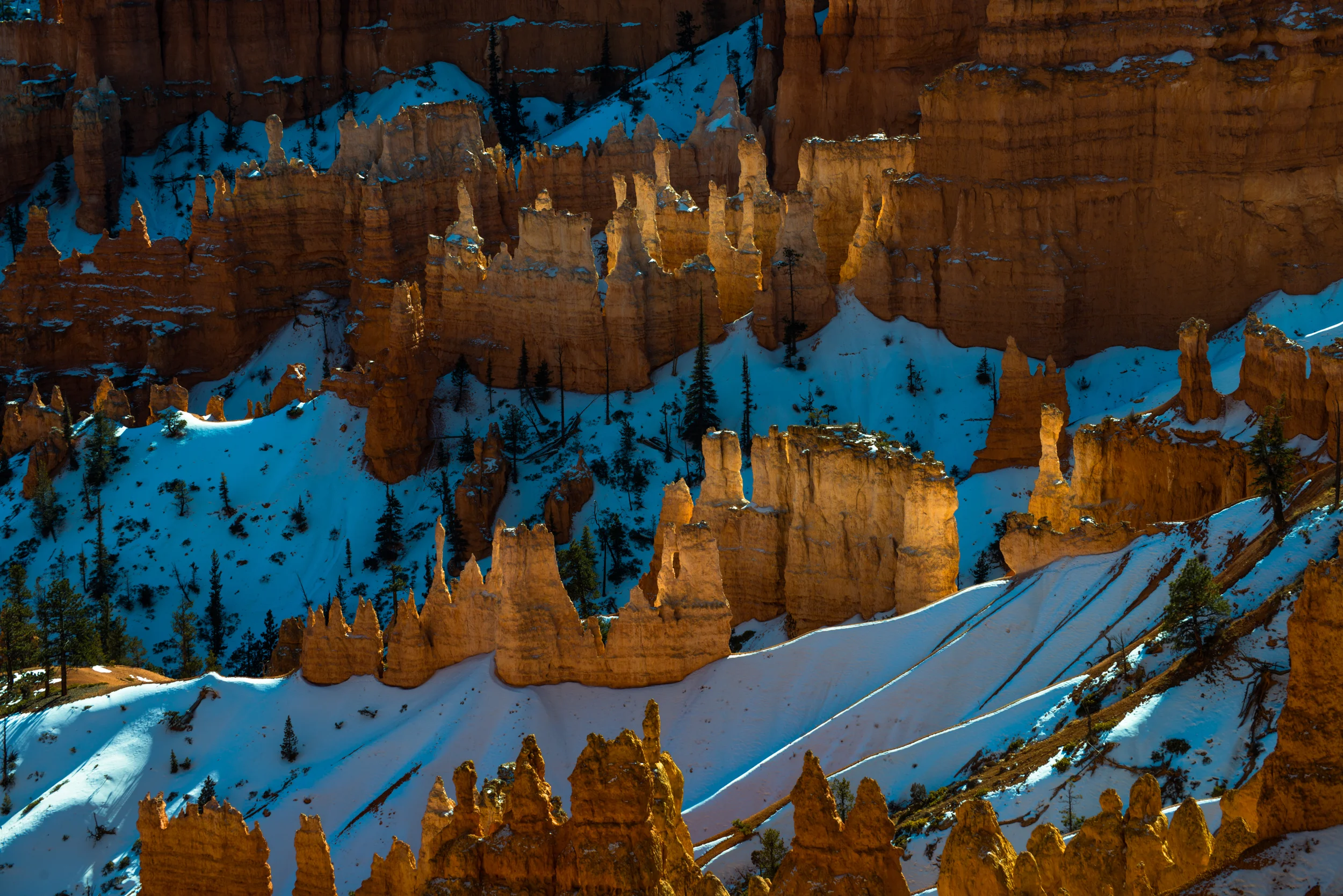 Pillars in Snow.2x3.Fullsize.300ppi.jpg