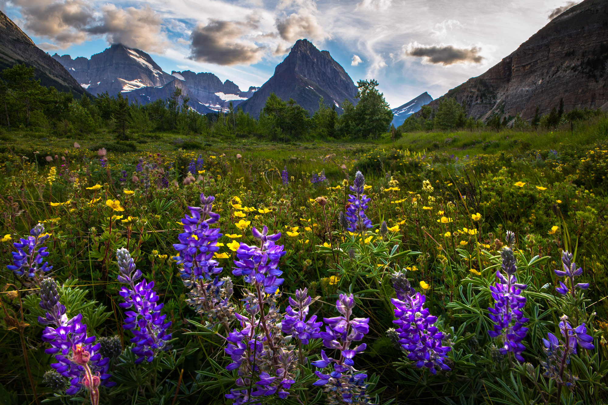 GlacierNP.WorkshopSummer-12.jpg