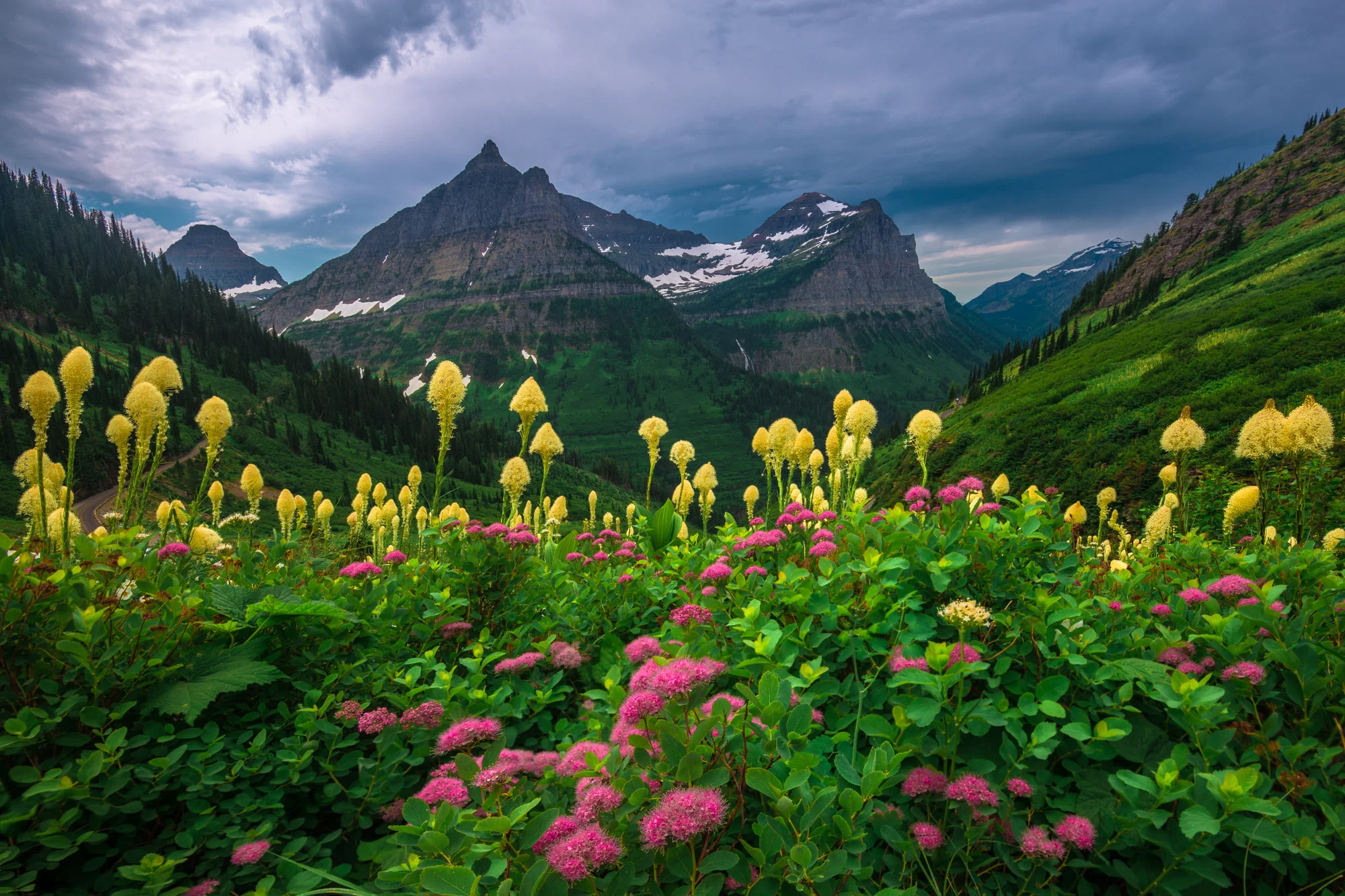 Glacier Summer 2020 Workshop (July 18-22)