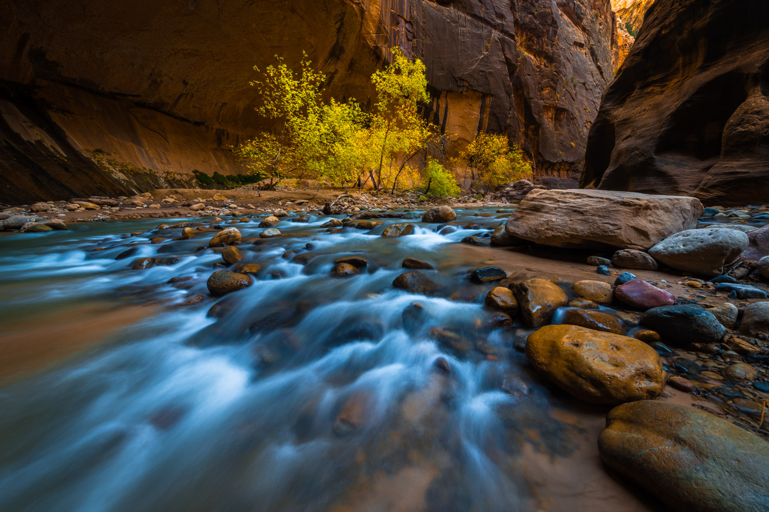 ©ChrisByrnePhotography.ZionWorkshop-8.jpg