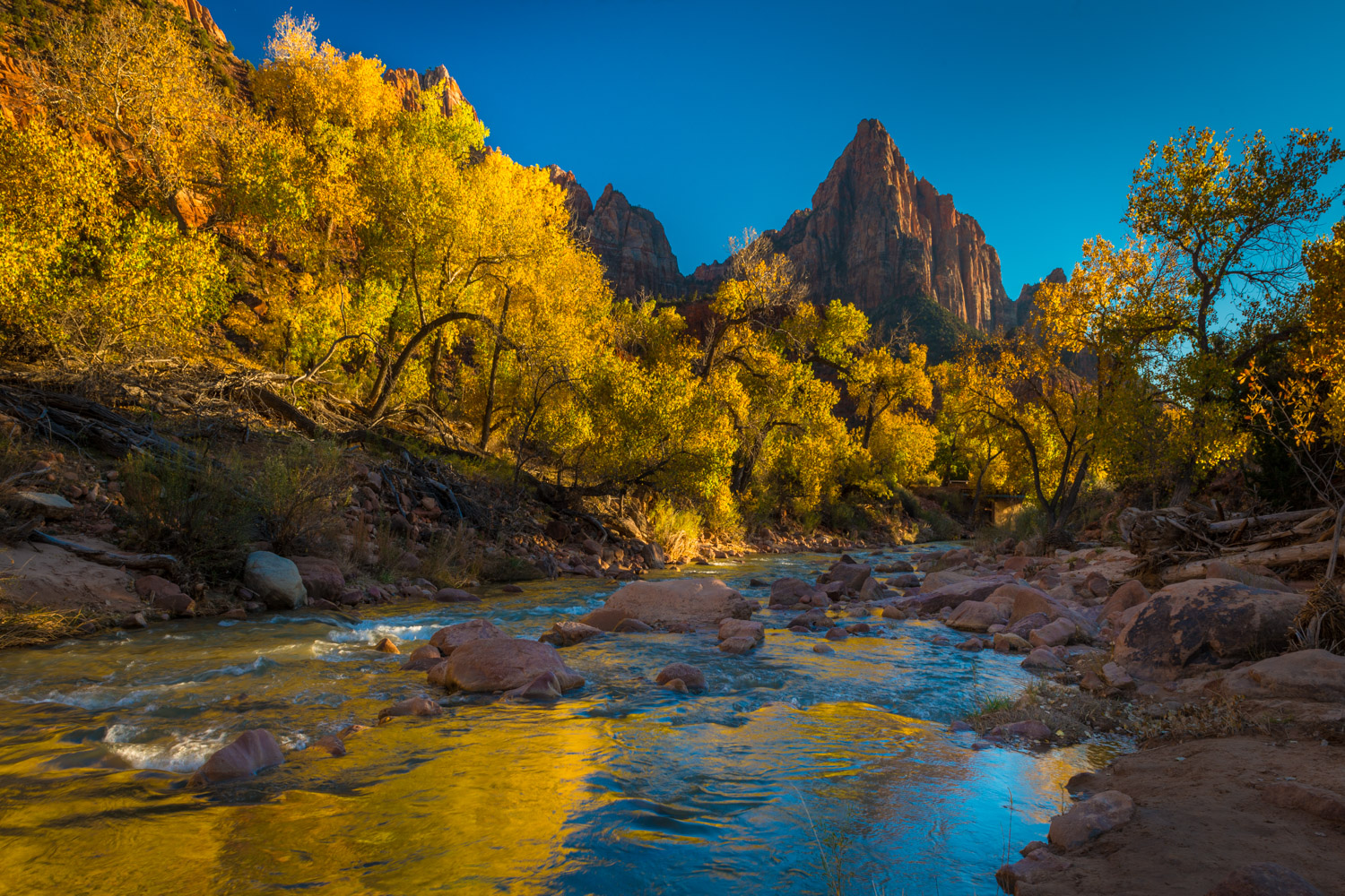 Zion in the Fall Photography Workshop — Chris Byrne Fine Art