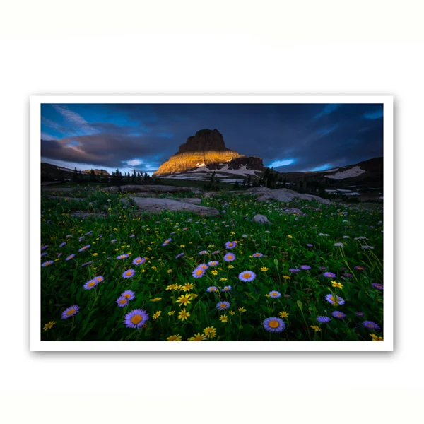 Wildflowers Under Clements Mountain