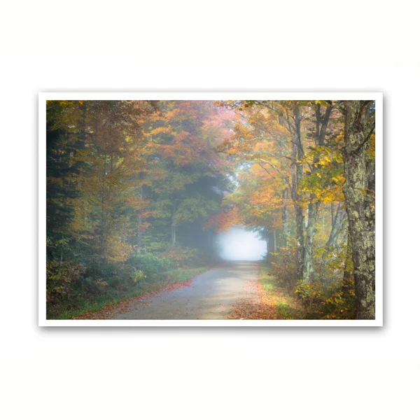The Hollow Road