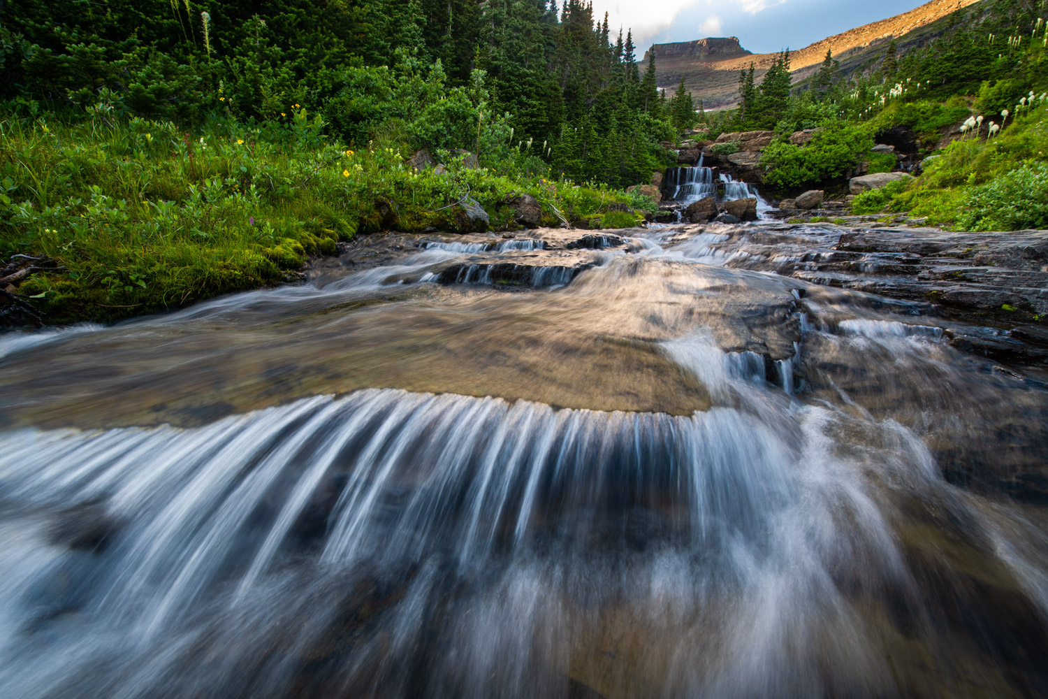 Glacier.Summer2020-2.jpg