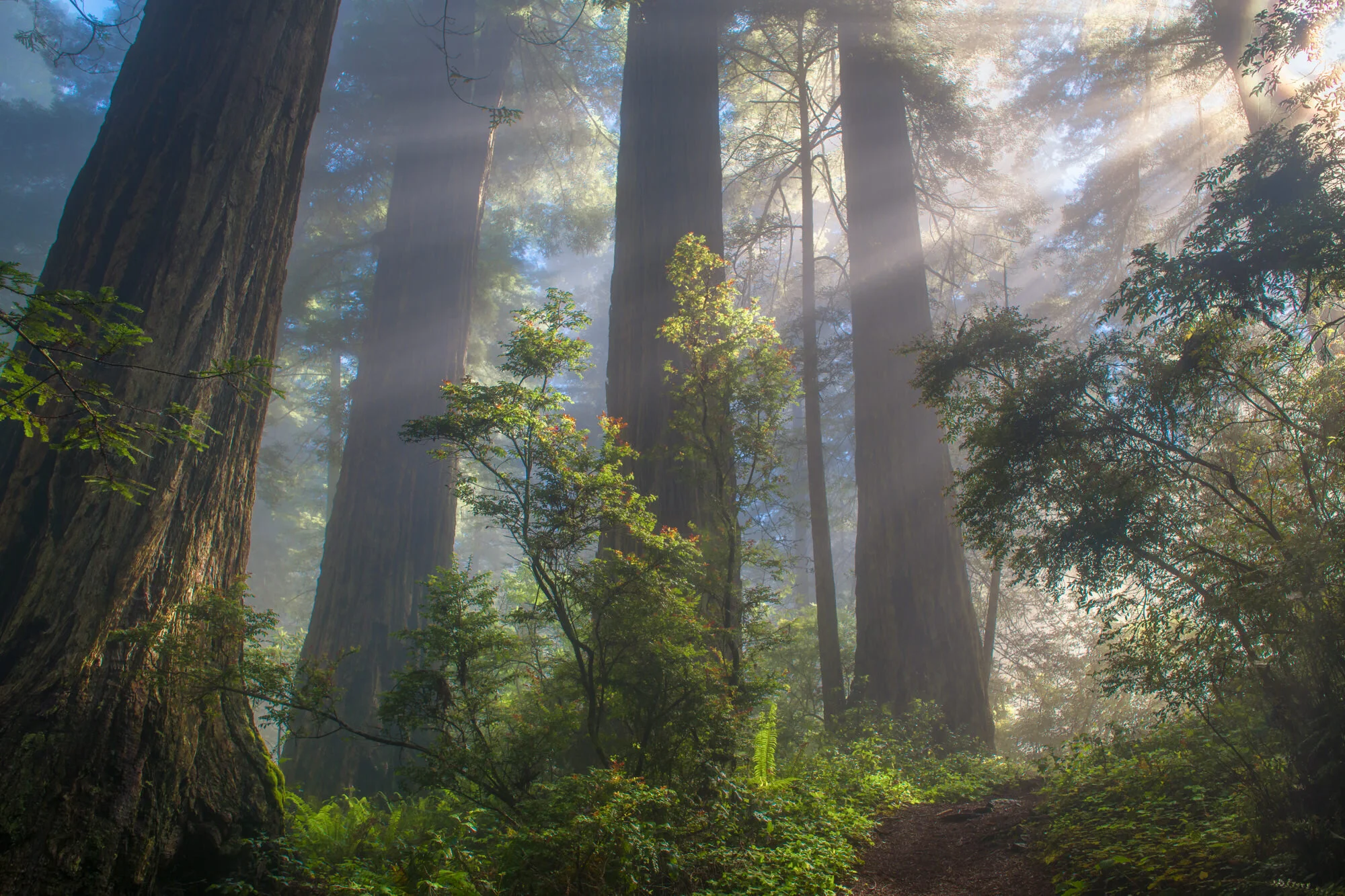 Oregon Coast.053019._CVB3602-EditSquarespace.2000px.100quality.mini.jpg