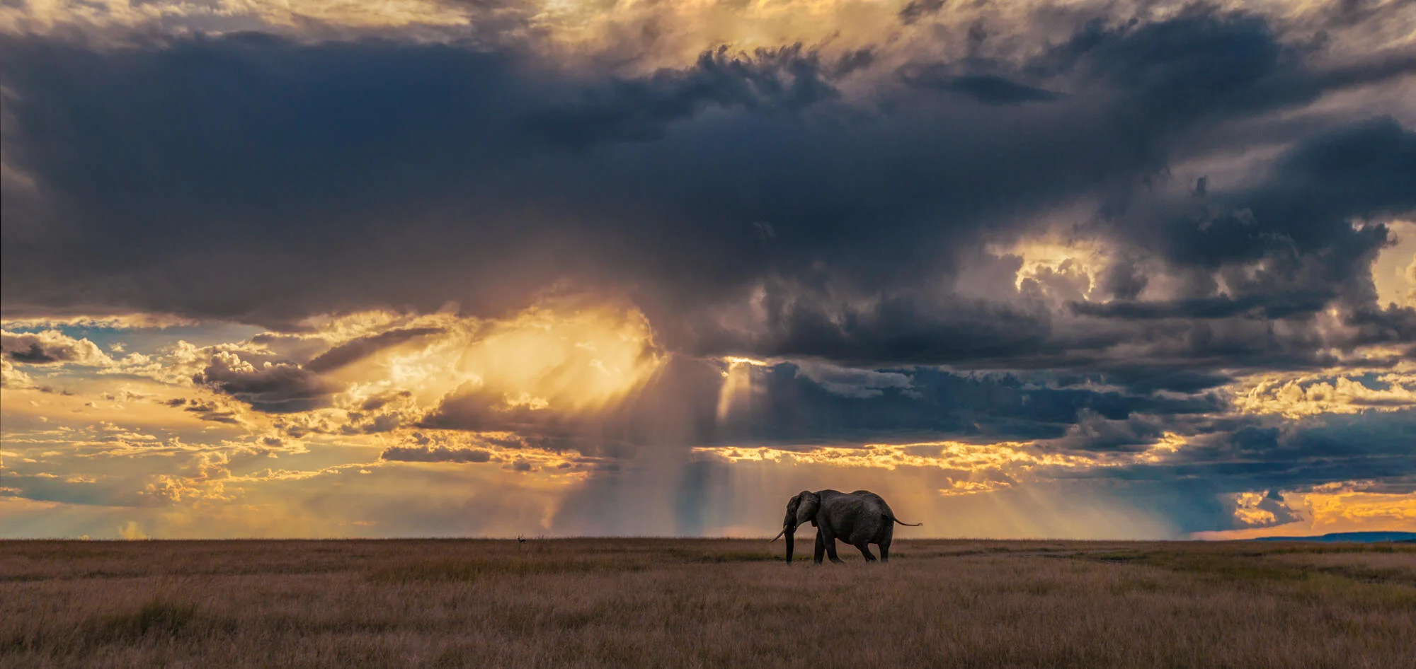 Solitude (Panoramic) 