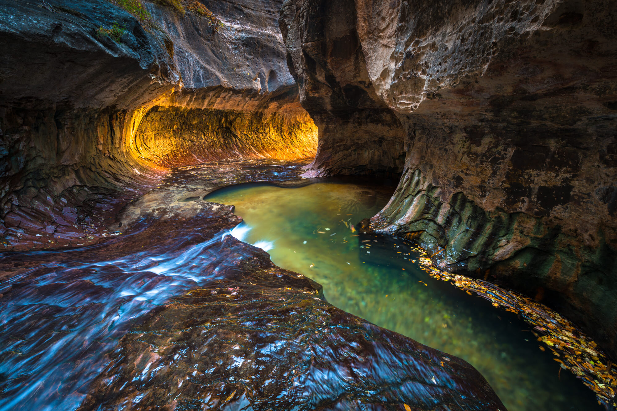 Path to Enlightenment