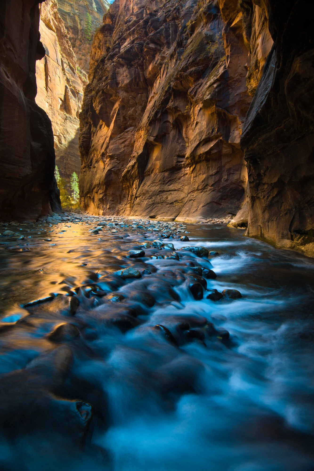 Zion_20191101__CVB4331-Edit.Squarespace.2000px.100quality.mini.jpg