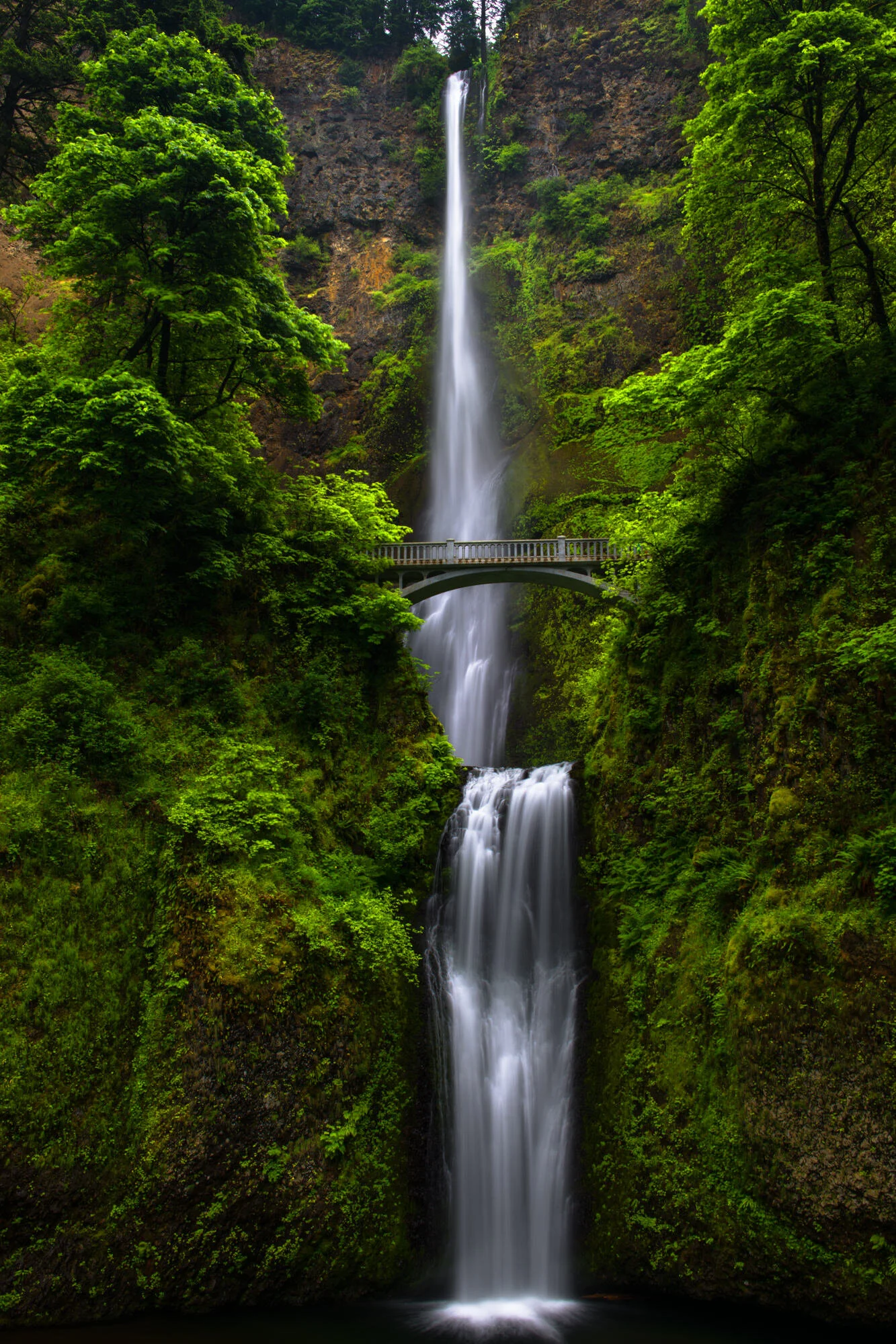 Multnomah