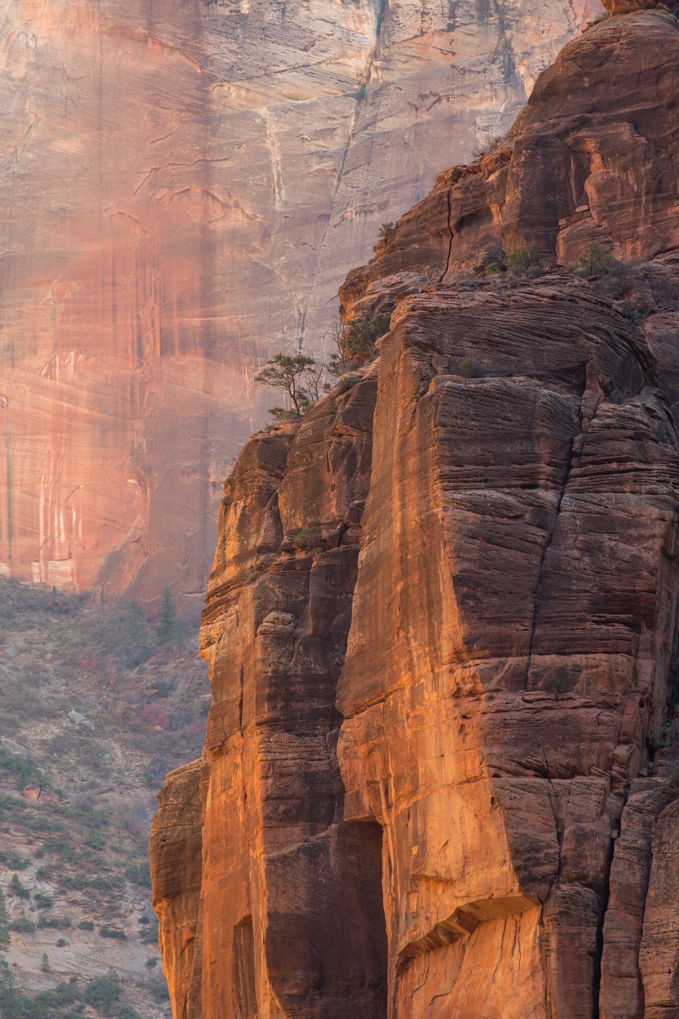 Best Seat in the House