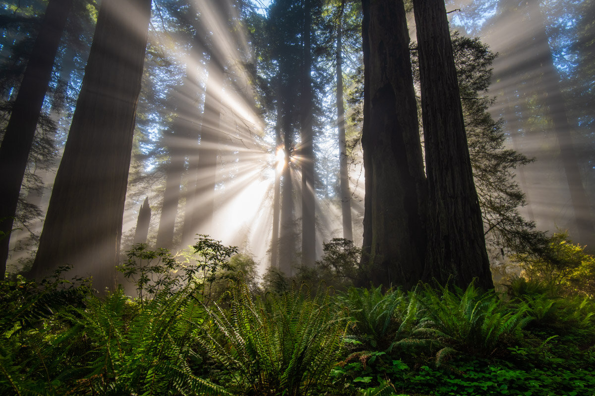 best-photo-spots-Oregon-Coast.jpg