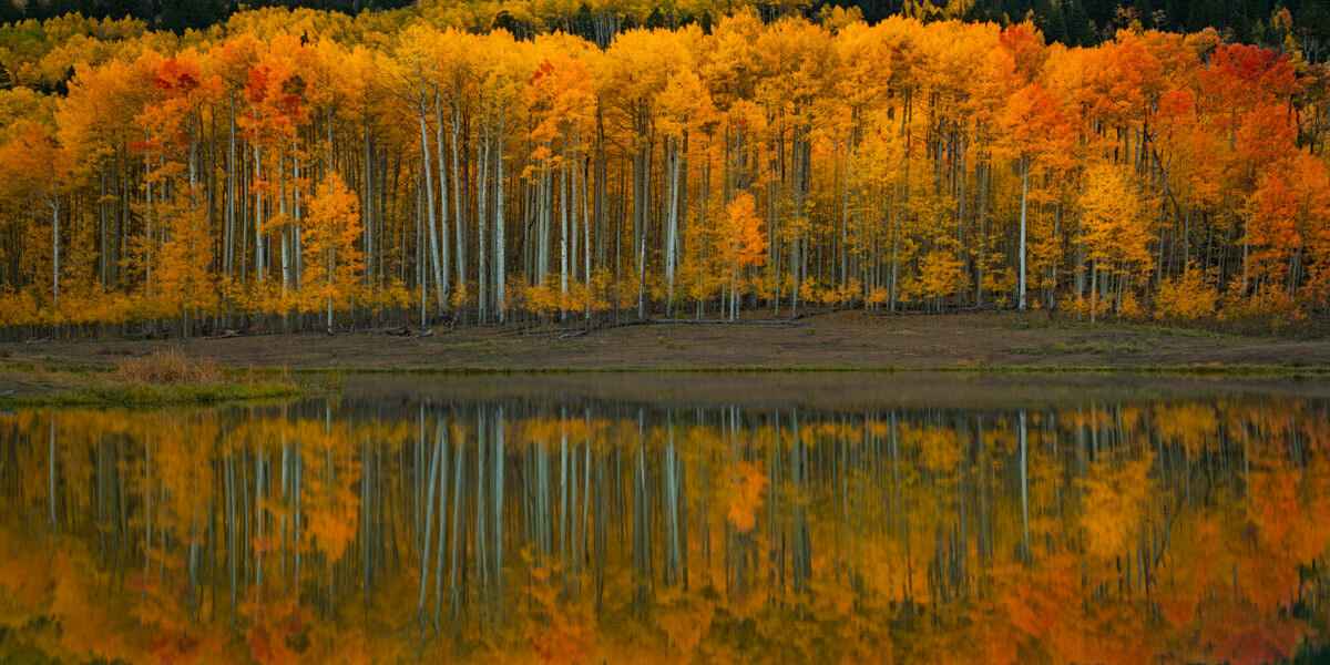 Colorado Workshop.1200px-23.jpg