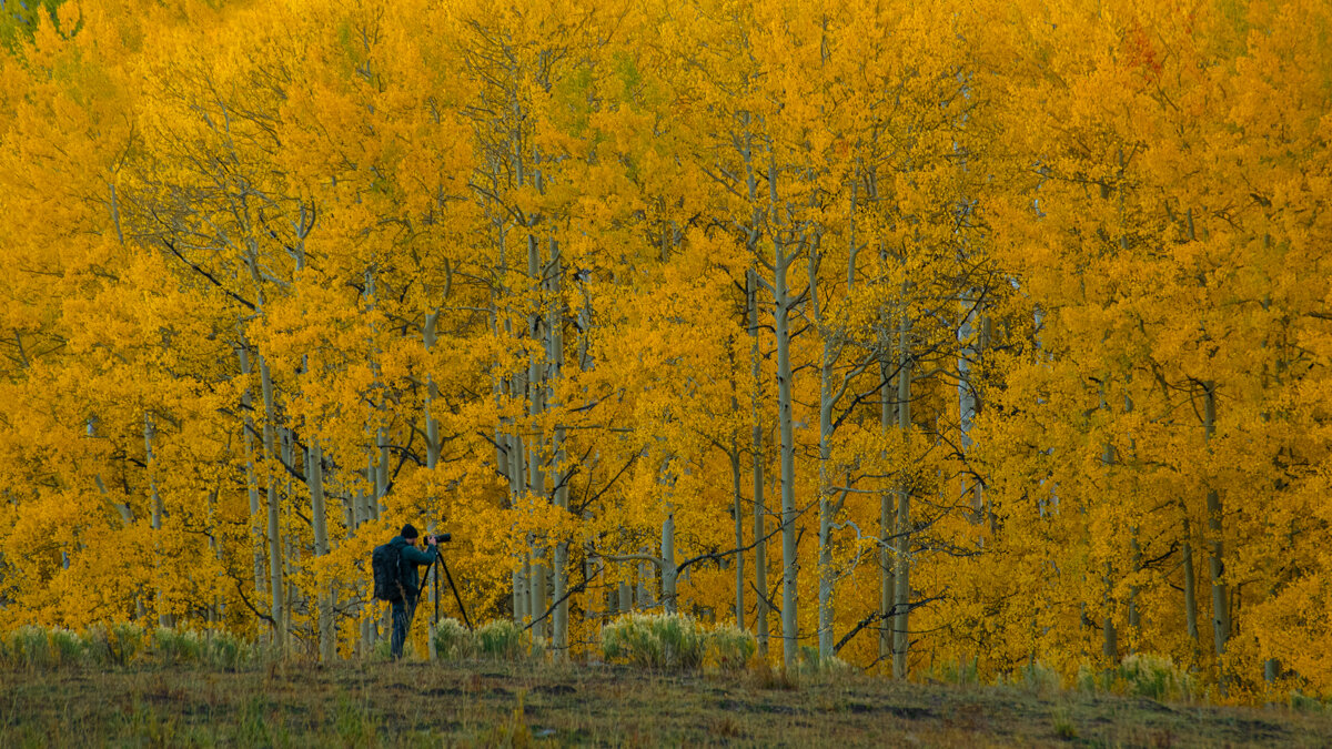 Colorado Workshop.1200px-16.jpg