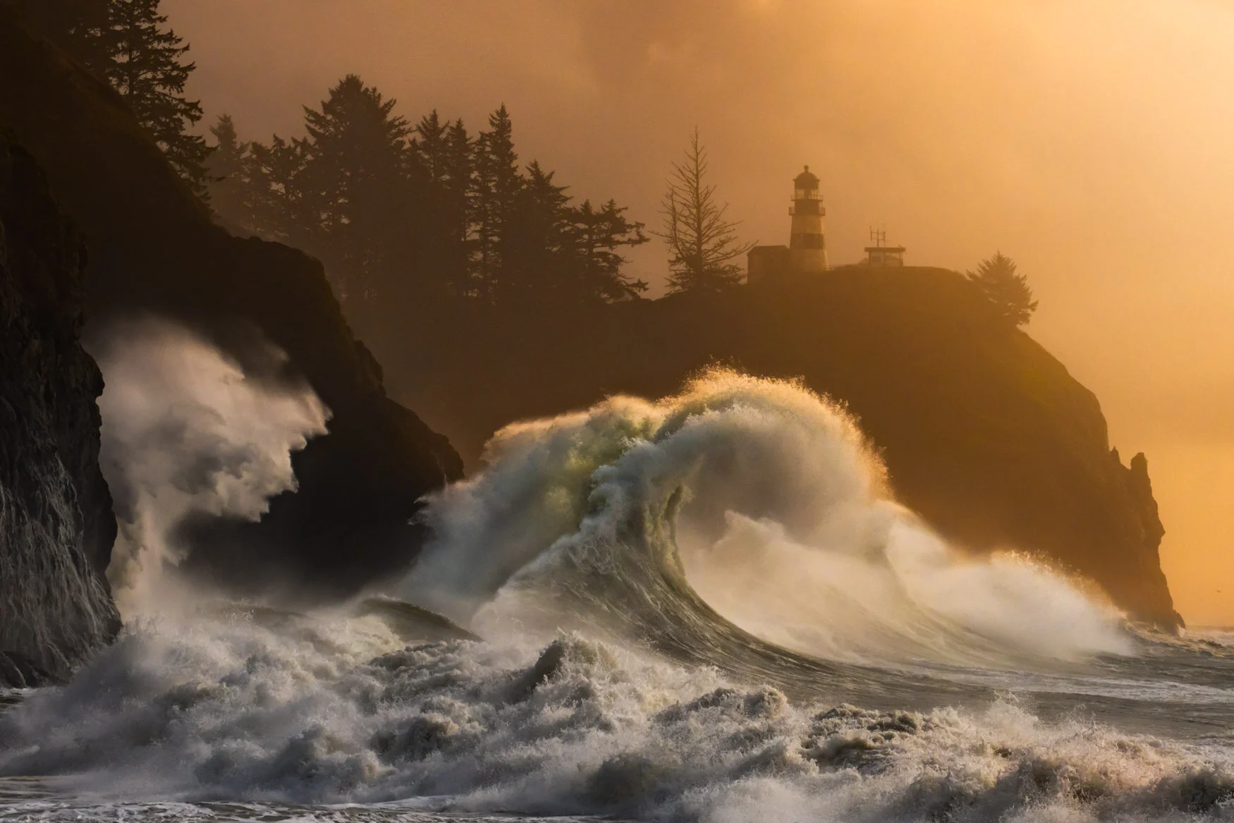 CapeDisappointment_20201115__CVB4894.jpg