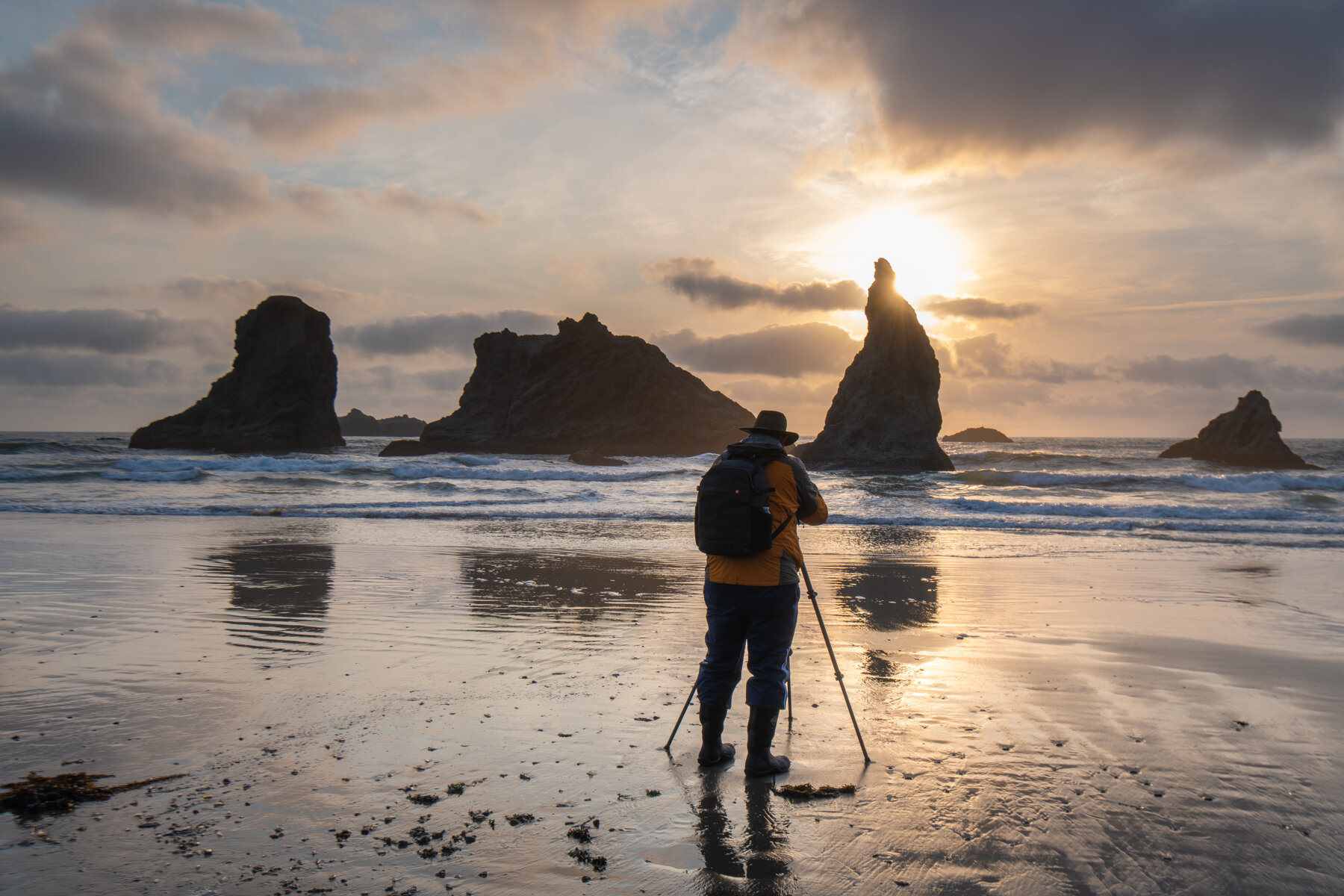 OregonCoast.1800px-6.jpg