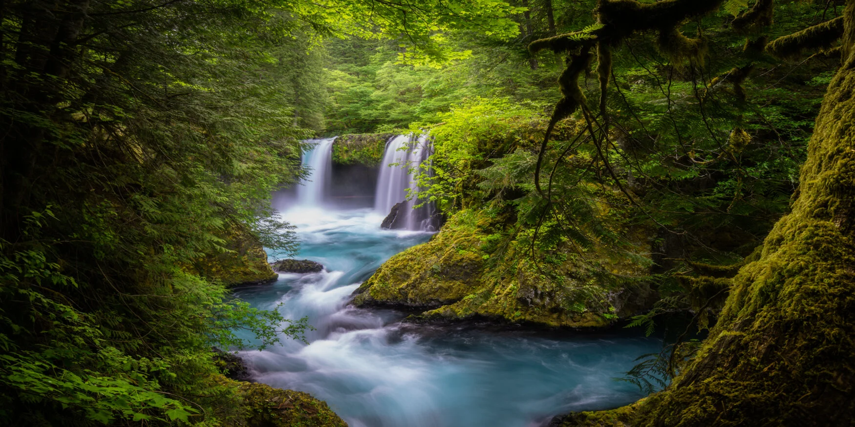 Spirit World (Panoramic)